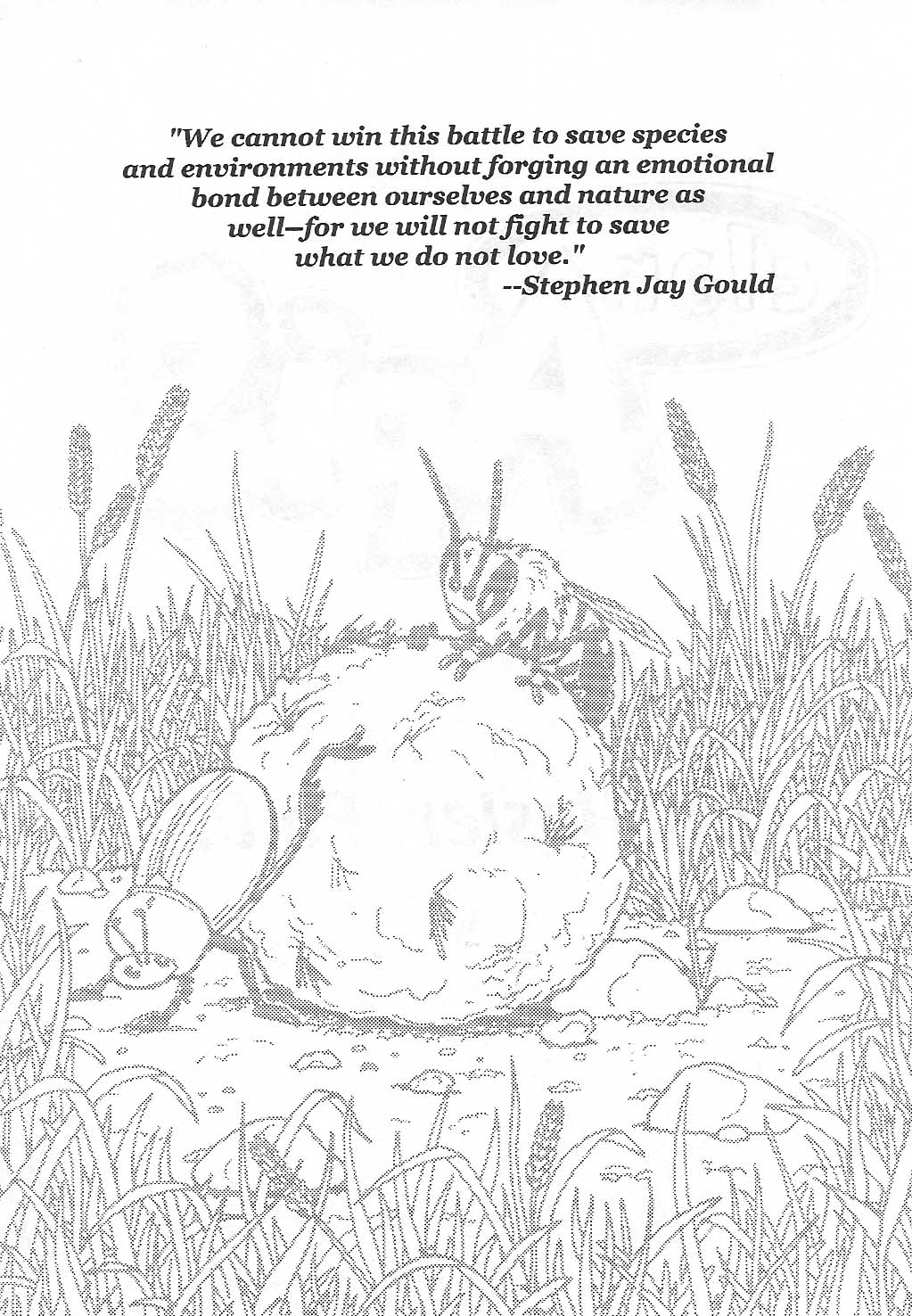 Read online Clan Apis comic -  Issue # TPB (Part 1) - 5