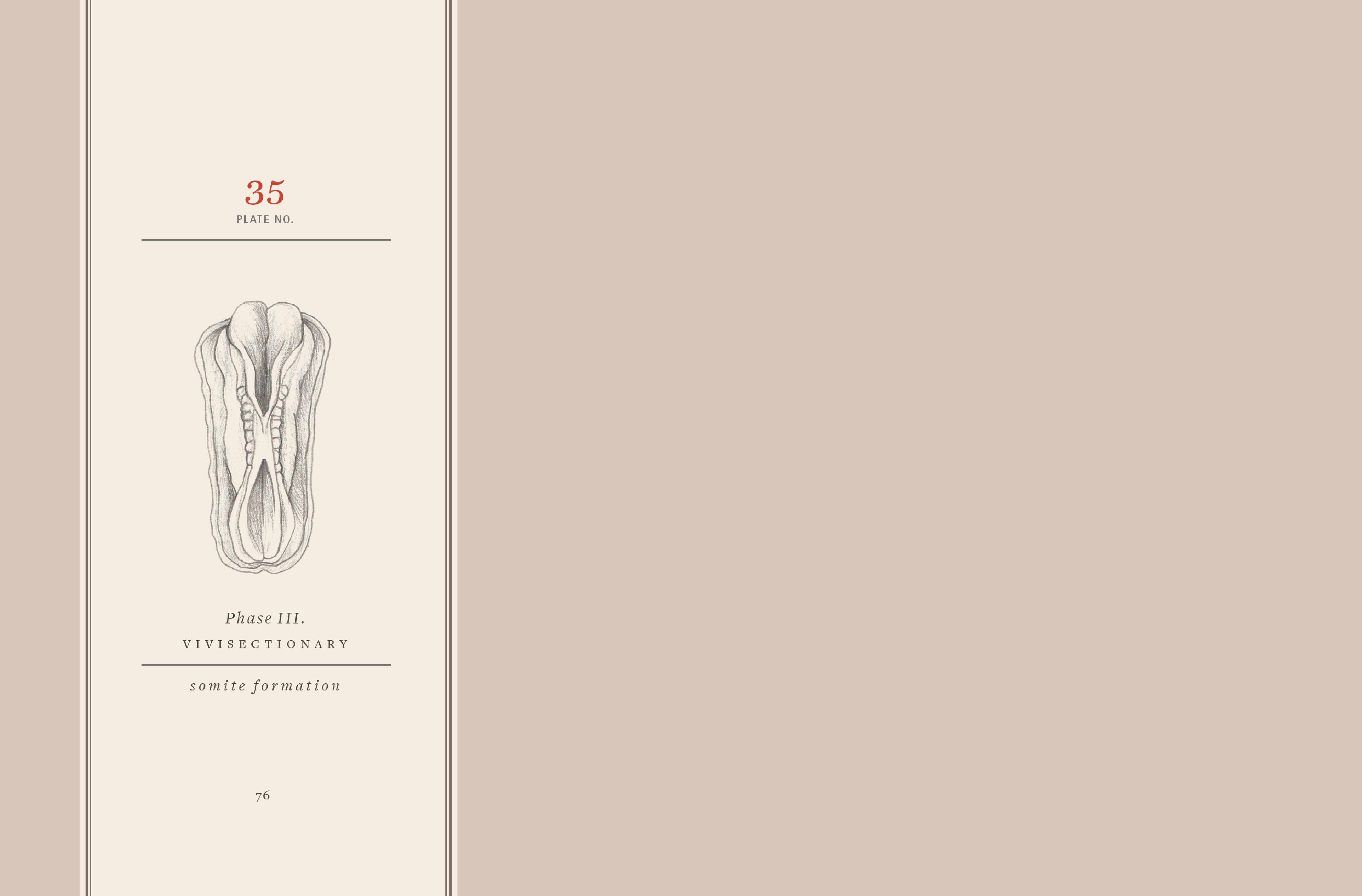 Read online Vivisectionary comic -  Issue # TPB - 77