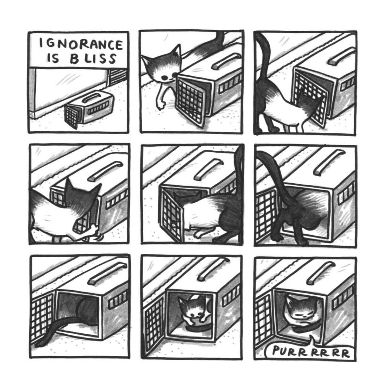 Read online Cats are Weird and More Observations comic -  Issue # TPB - 77