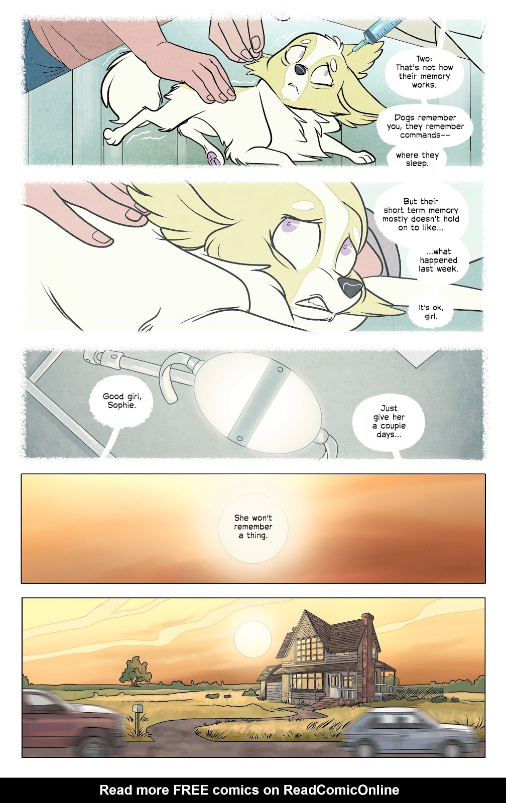 Stray Dogs issue 1 - Page 5