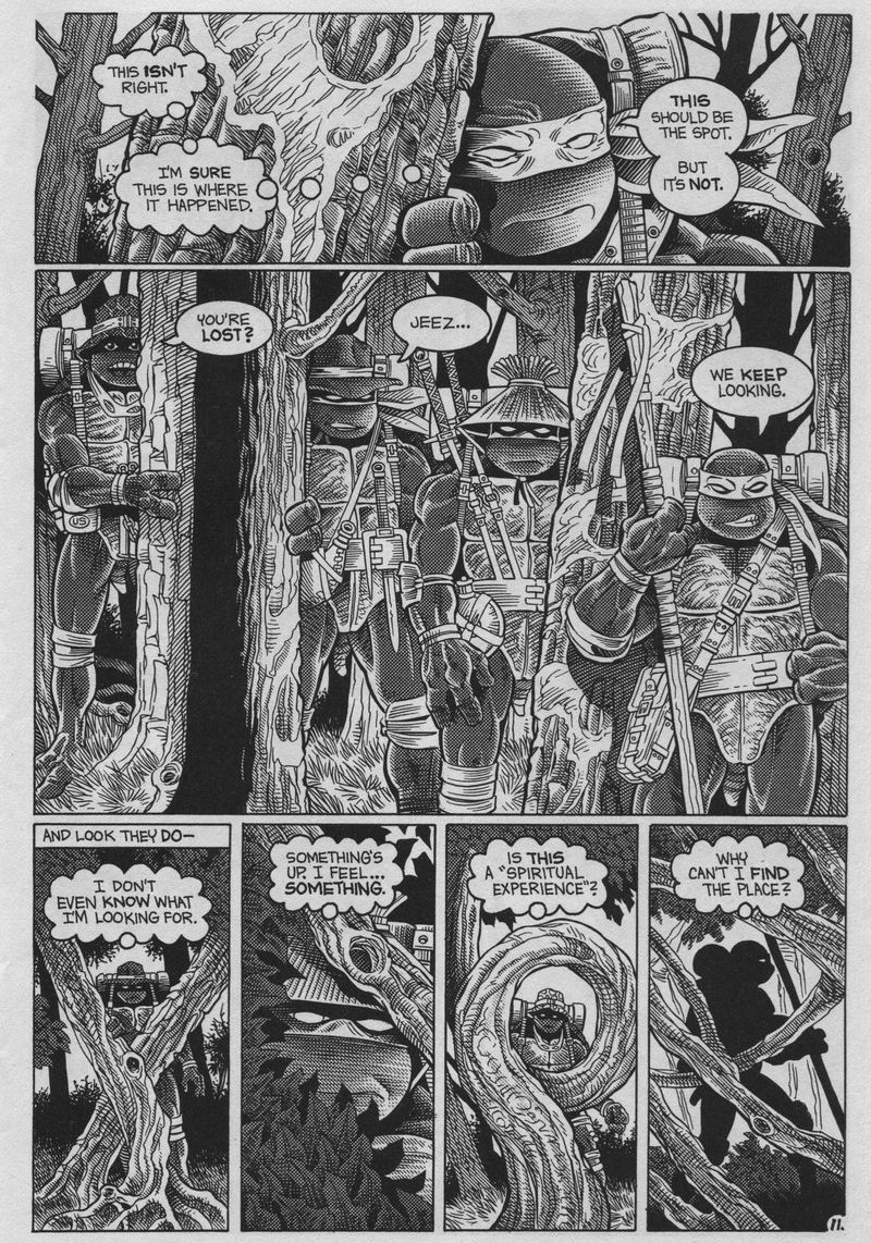 Read online Teenage Mutant Ninja Turtles (1984) comic -  Issue #37 - 11