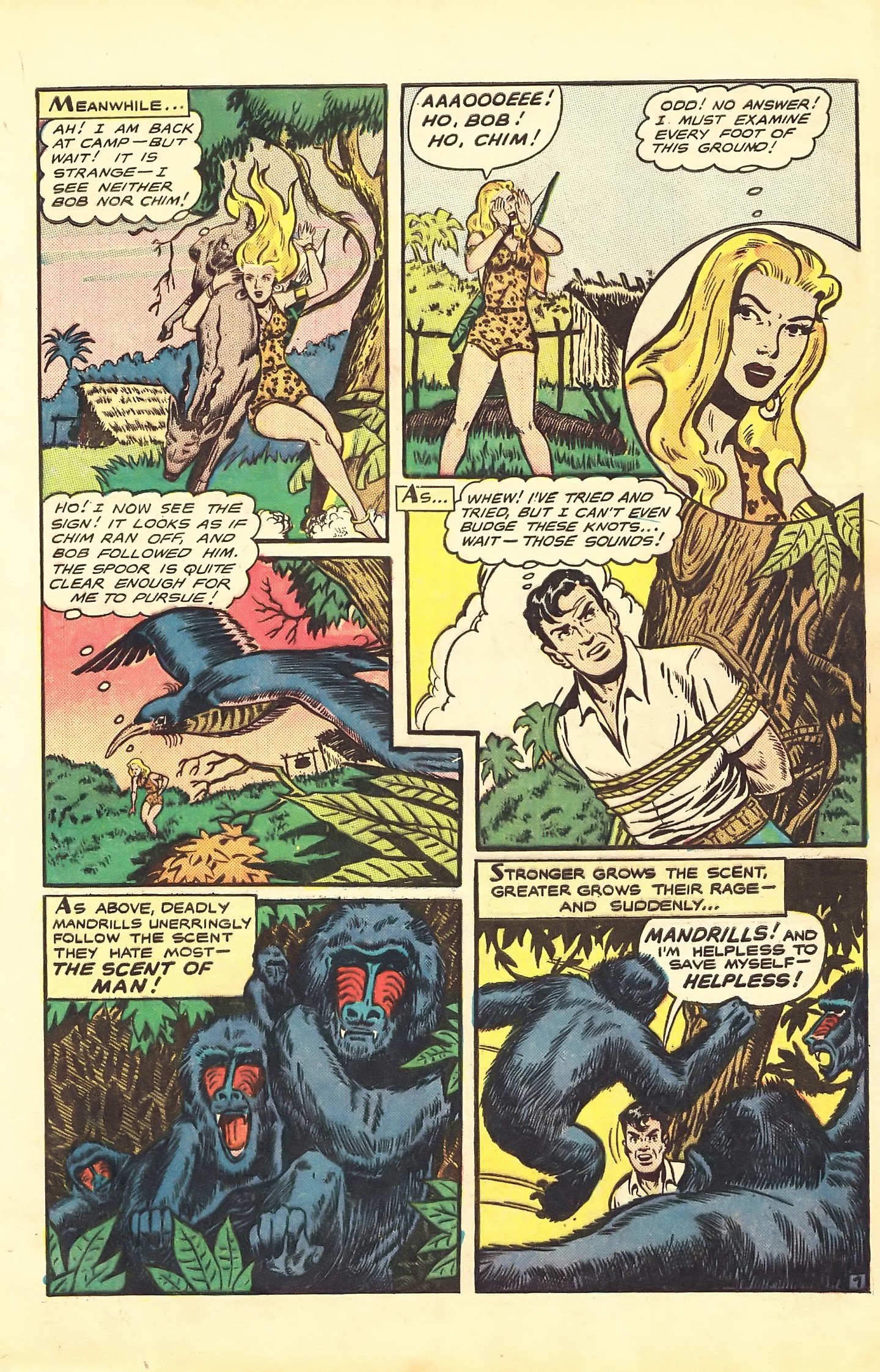Read online Sheena, Queen of the Jungle (1942) comic -  Issue #7 - 9