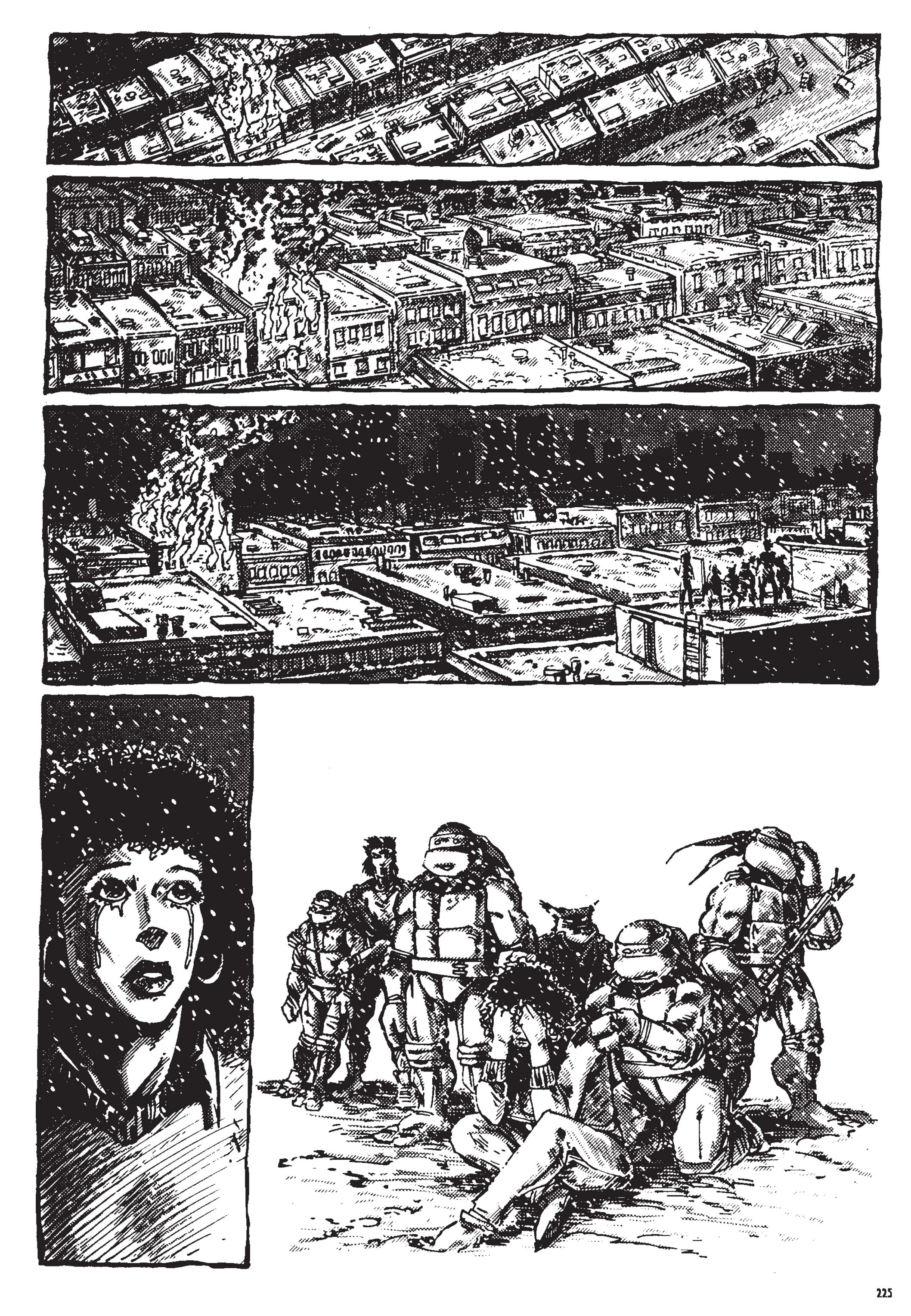 Read online Teenage Mutant Ninja Turtles: The Ultimate Collection comic -  Issue # TPB 2 (Part 3) - 25