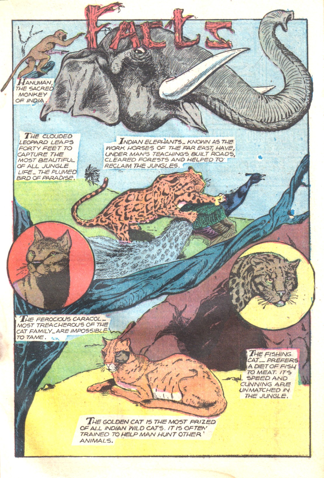 Read online Wambi Jungle Boy comic -  Issue #17 - 17