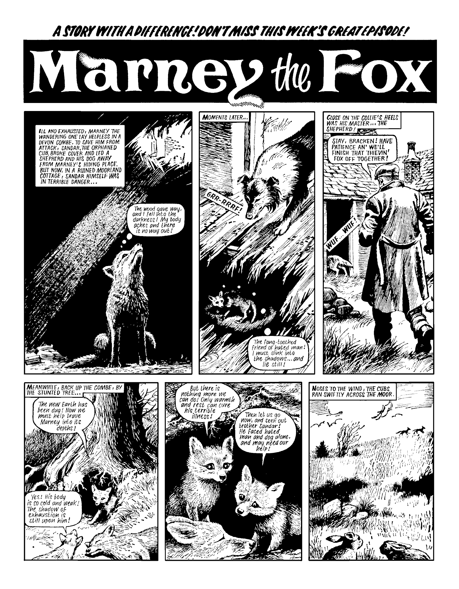 Read online Marney the Fox comic -  Issue # TPB (Part 2) - 92