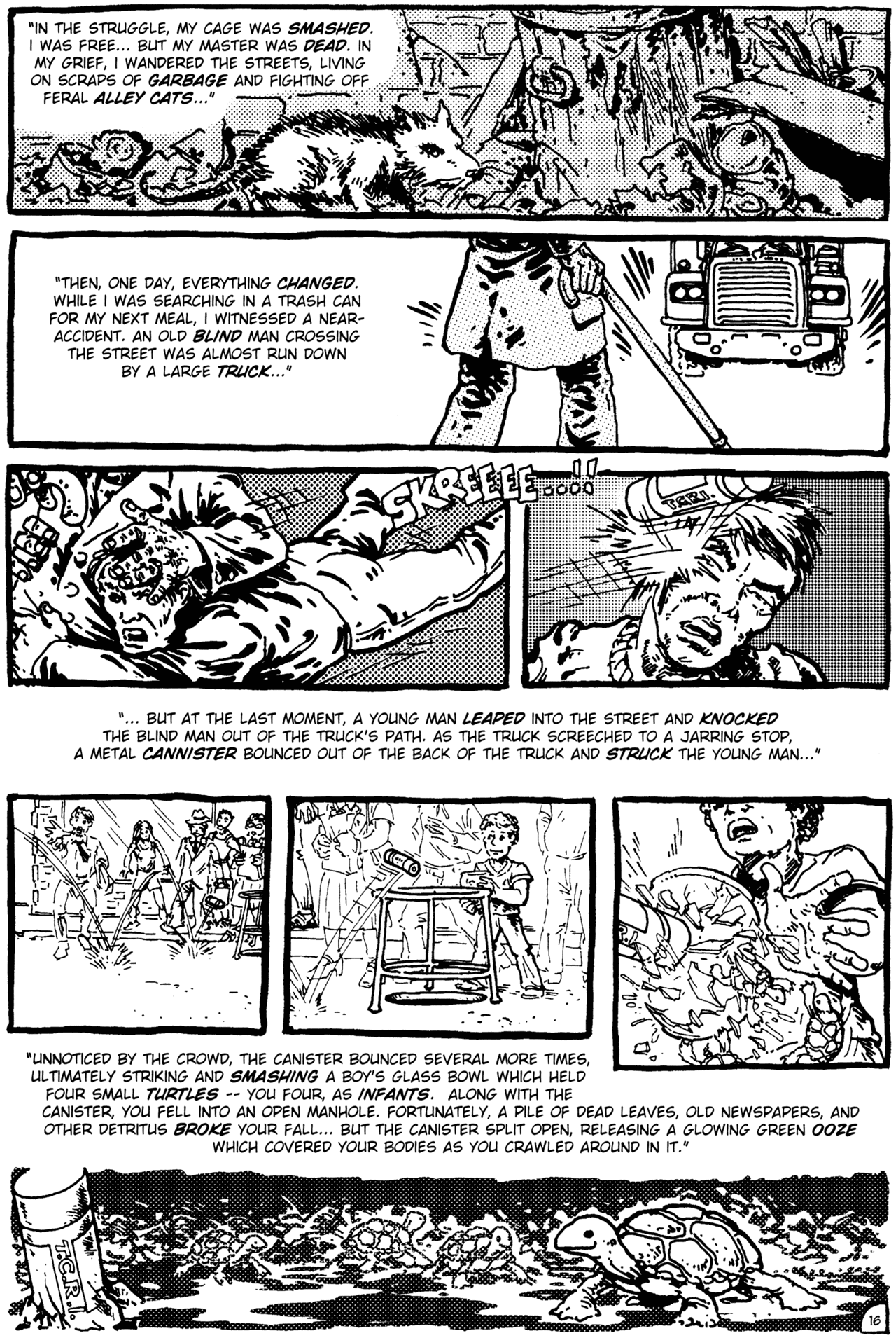 Teenage Mutant Ninja Turtles (1984) Issue #1 #1 - English 17