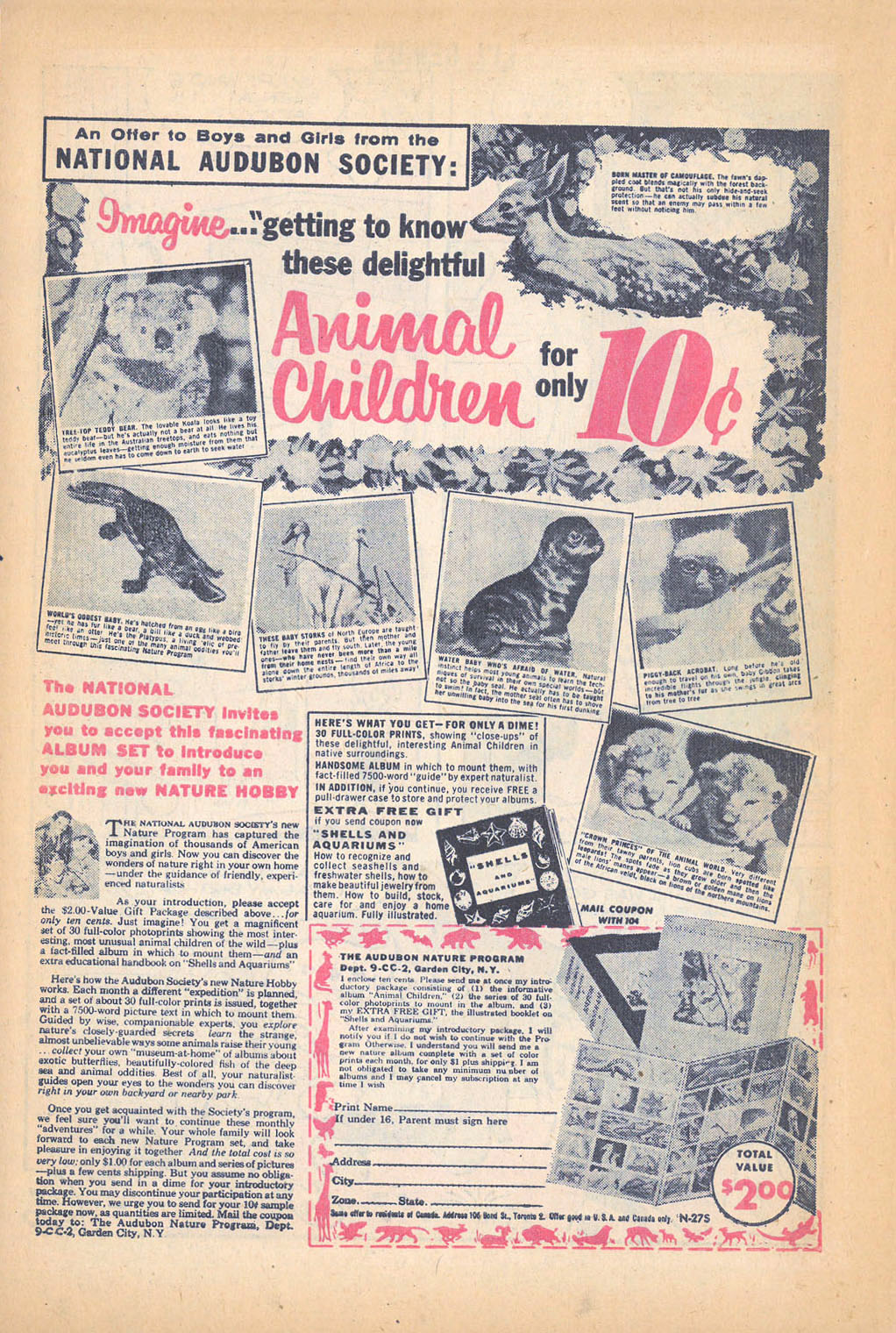 Read online Li'l Genius comic -  Issue #20 - 34