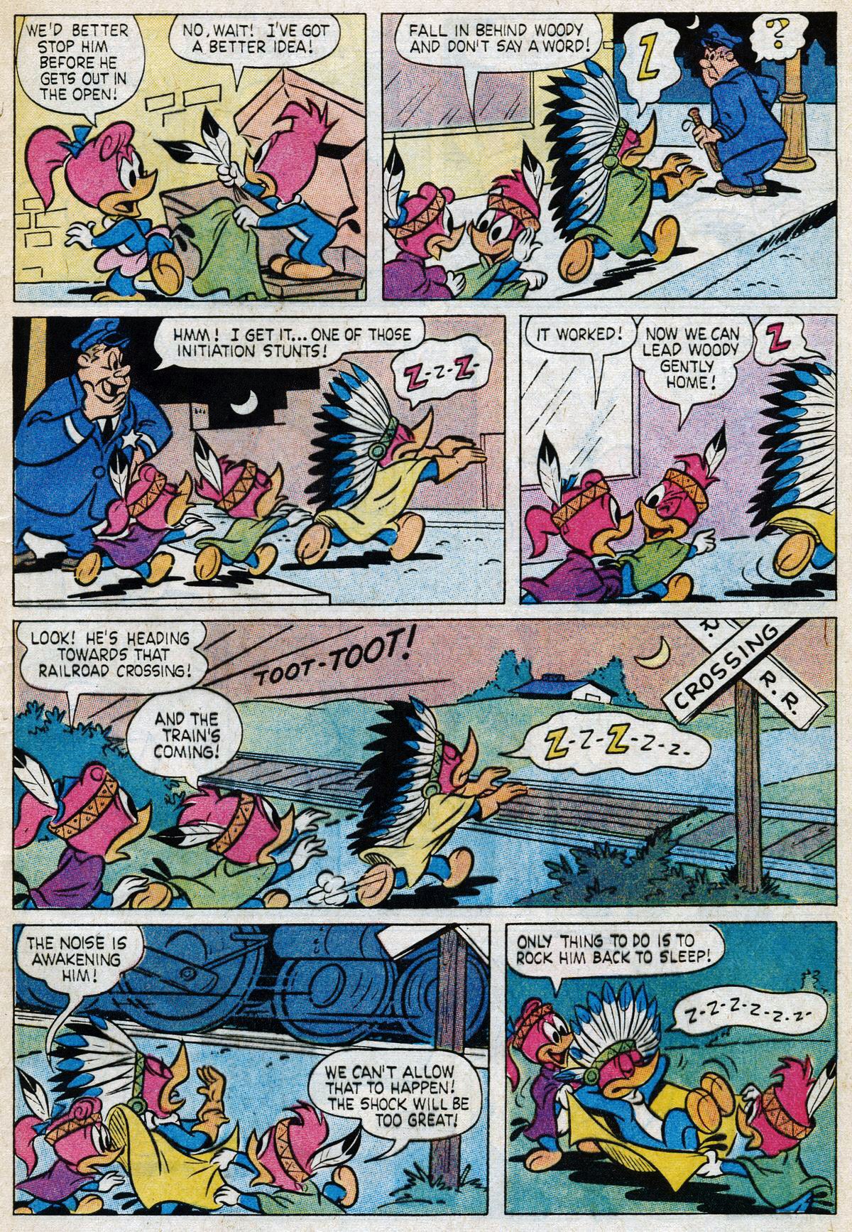 Read online Walter Lantz Woody Woodpecker (1962) comic -  Issue #200 - 9