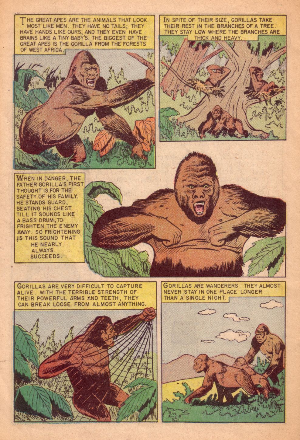 Read online Classics Illustrated Junior comic -  Issue #507 - 34