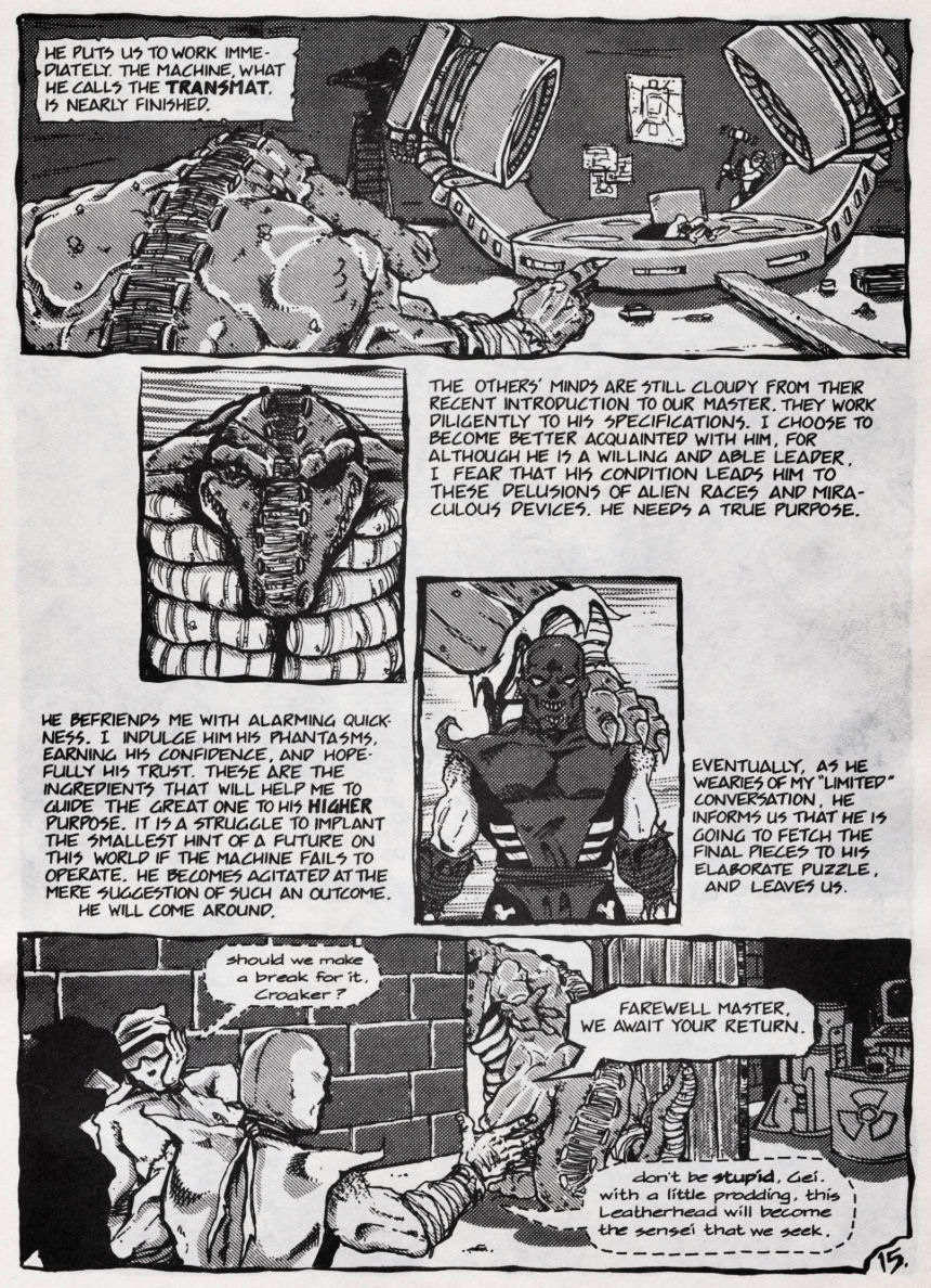 Teenage Mutant Ninja Turtles (1984) Issue #45 #45 - English 13