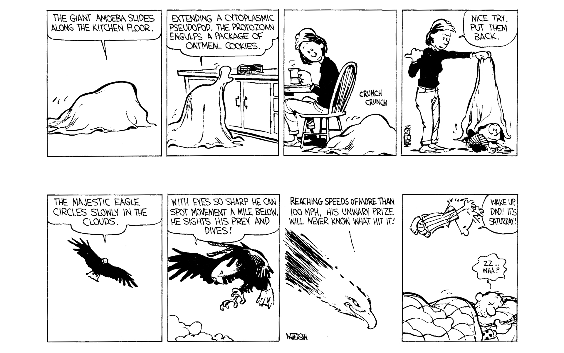 Read online Calvin and Hobbes comic -  Issue #2 - 108