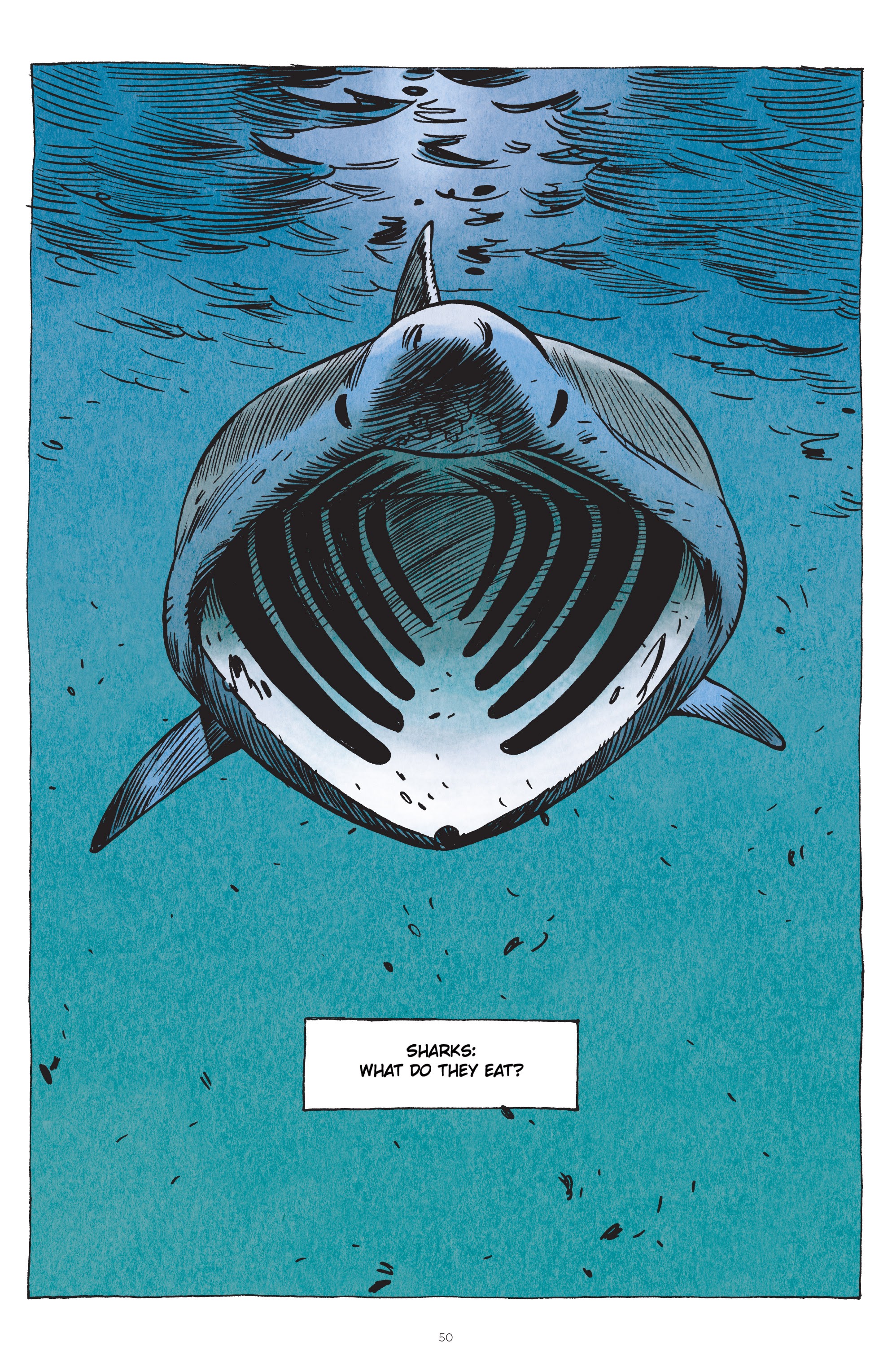 Read online Little Book of Knowledge: Sharks comic -  Issue # TPB - 50