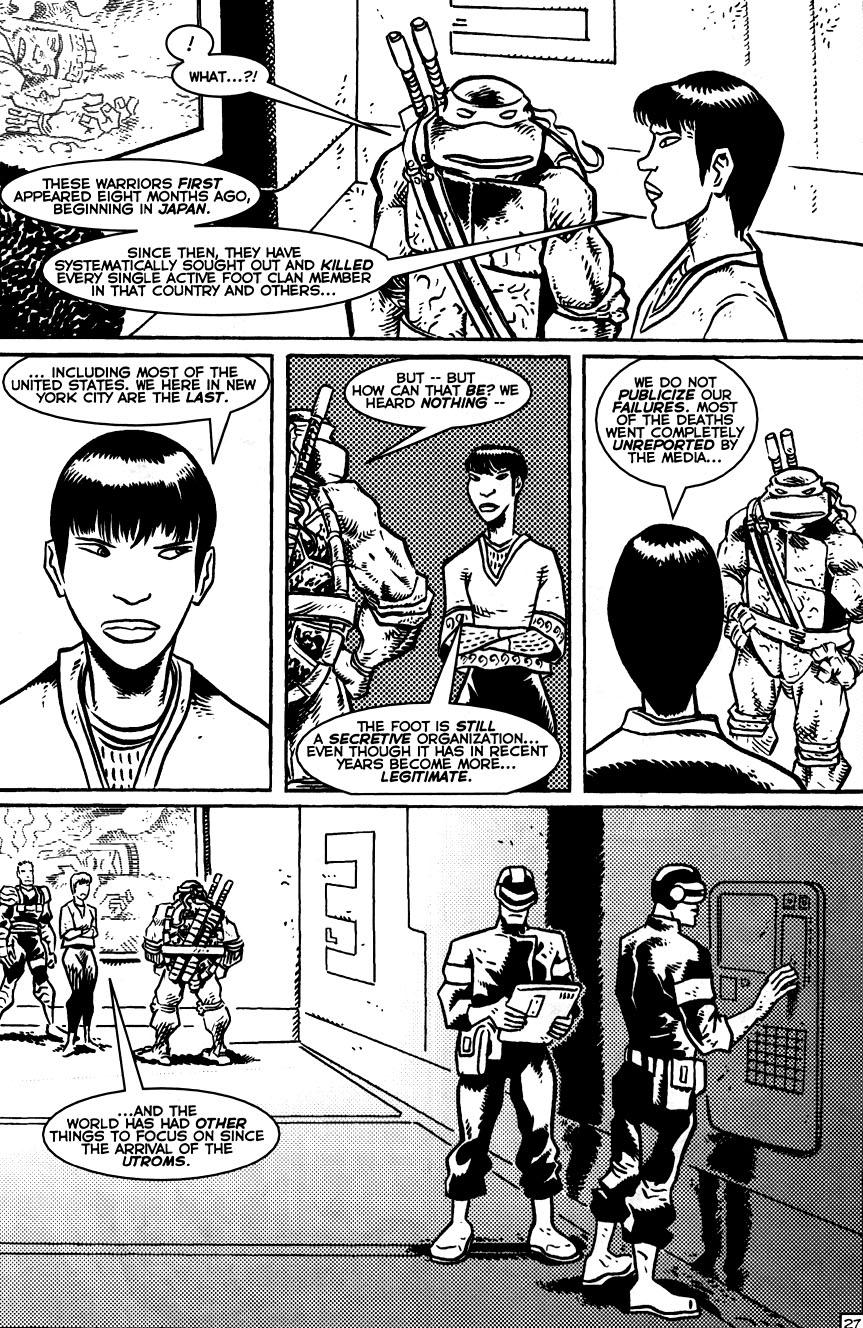 TMNT: Teenage Mutant Ninja Turtles Issue #14 #14 - English 29