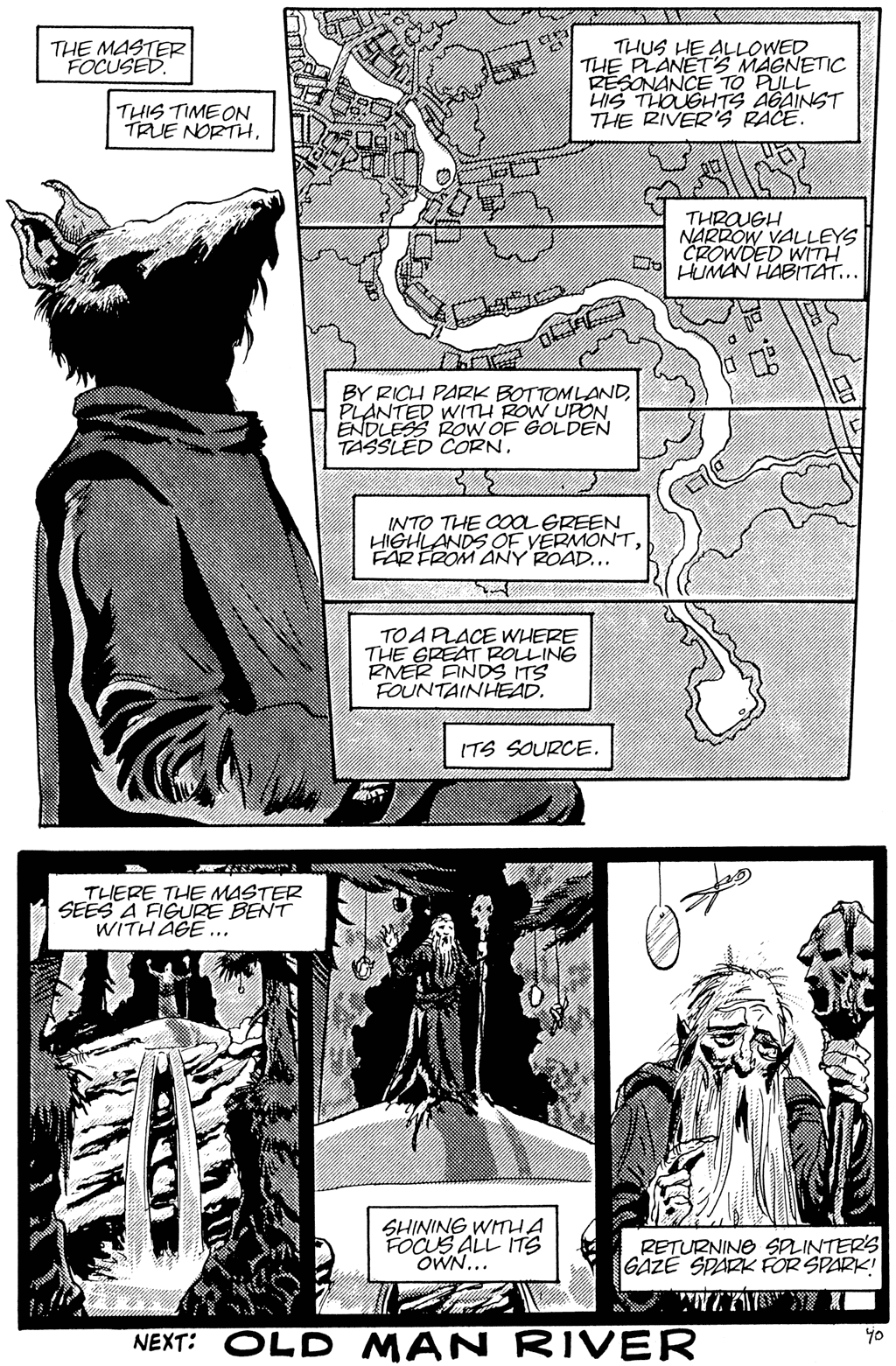 Read online Teenage Mutant Ninja Turtles (1984) comic -  Issue #25 - 42