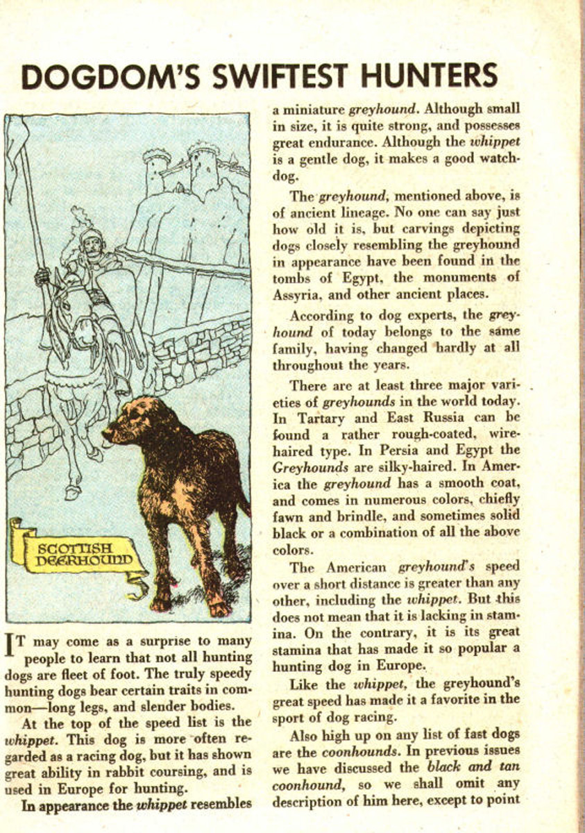 Read online The Adventures of Rex the Wonder Dog comic -  Issue #27 - 23