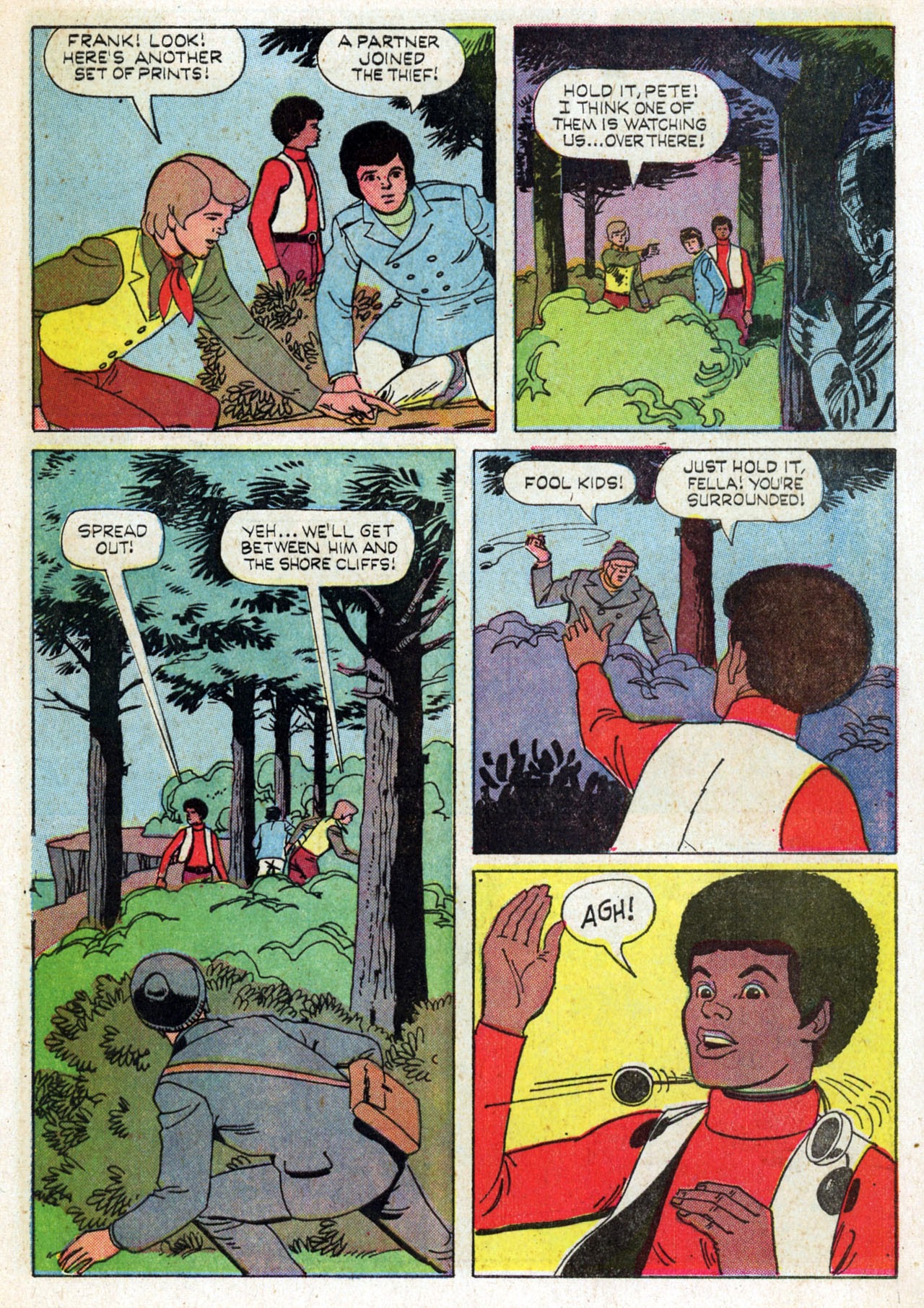 Read online The Hardy Boys (1970) comic -  Issue #1 - 5