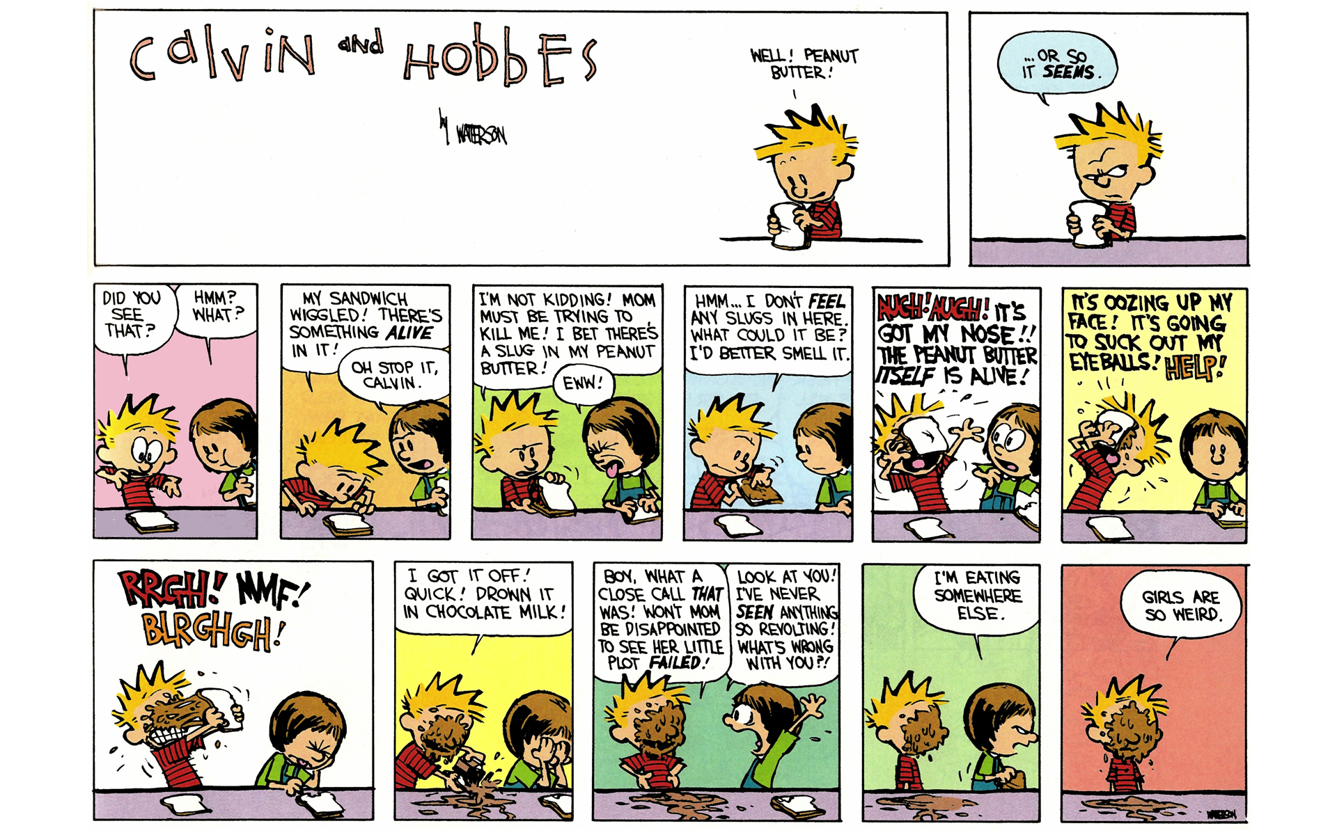 Read online Calvin and Hobbes comic -  Issue #7 - 61