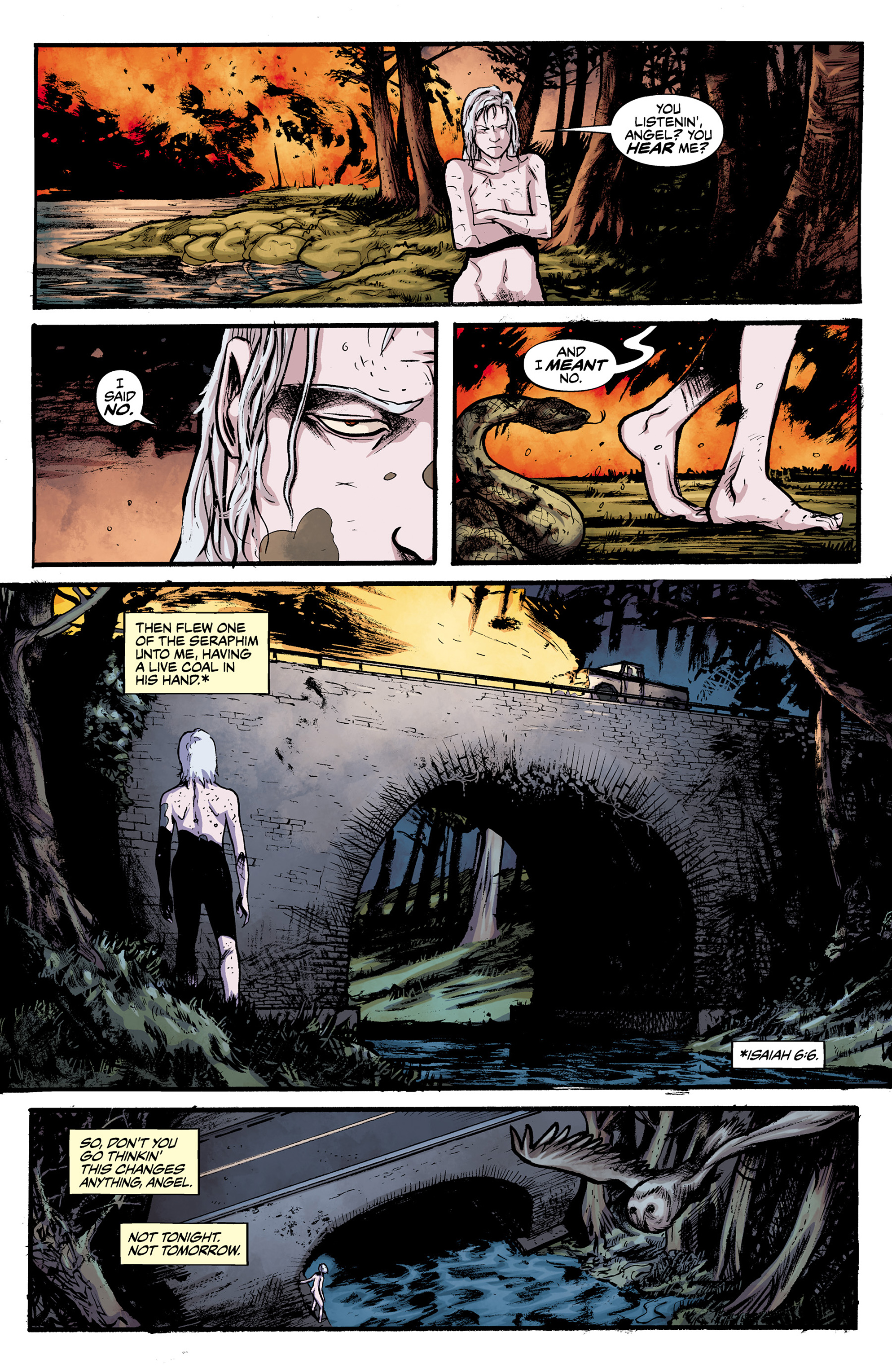Read online Alabaster: The Good, the Bad and the Bird comic -  Issue #3 - 12