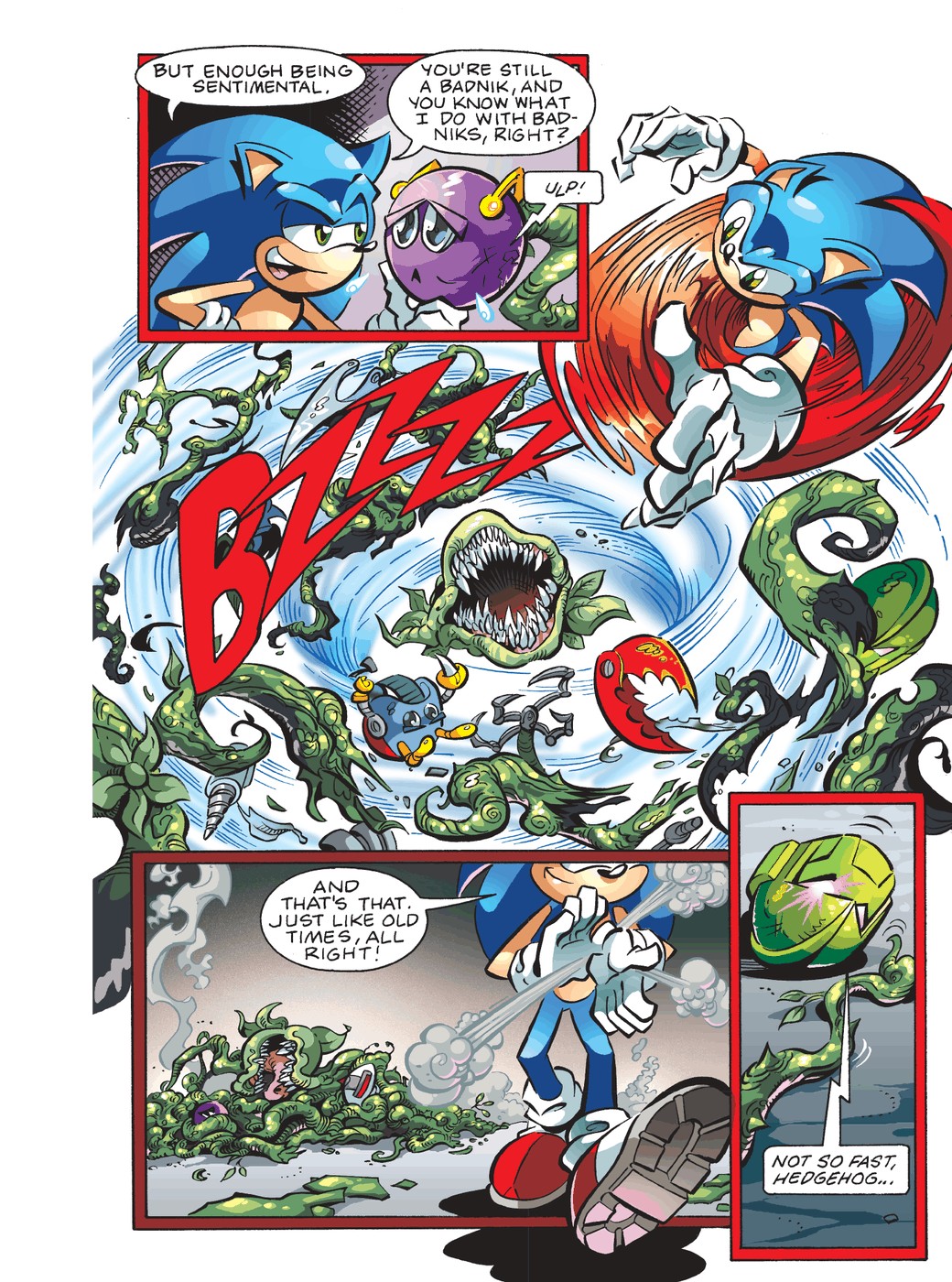 Read online Sonic Super Digest comic -  Issue #5 - 89