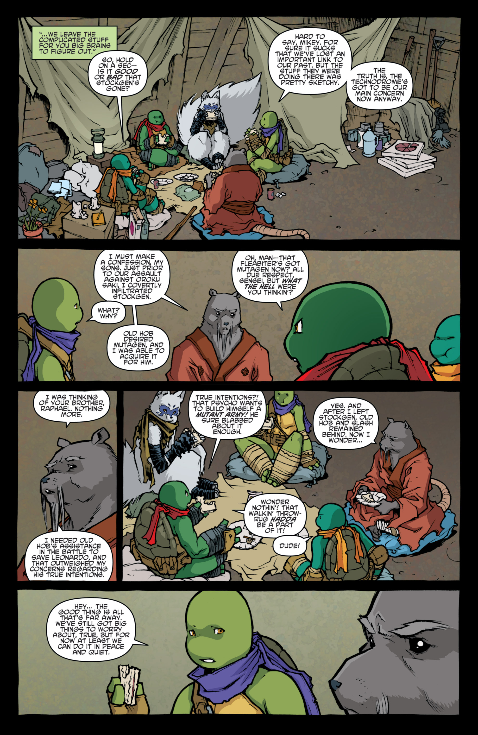 Read online Teenage Mutant Ninja Turtles (2011) comic -  Issue #31 - 19