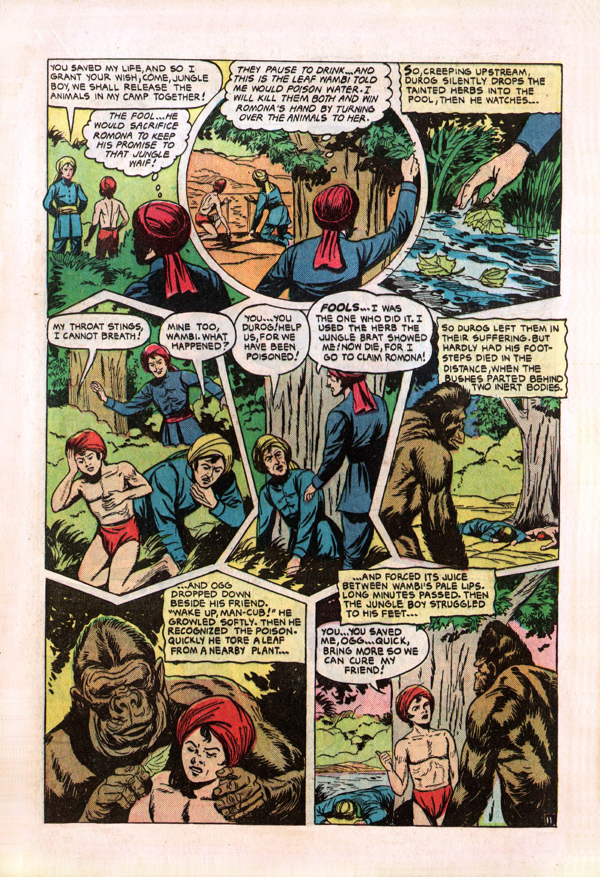 Read online Wambi Jungle Boy comic -  Issue #8 - 13