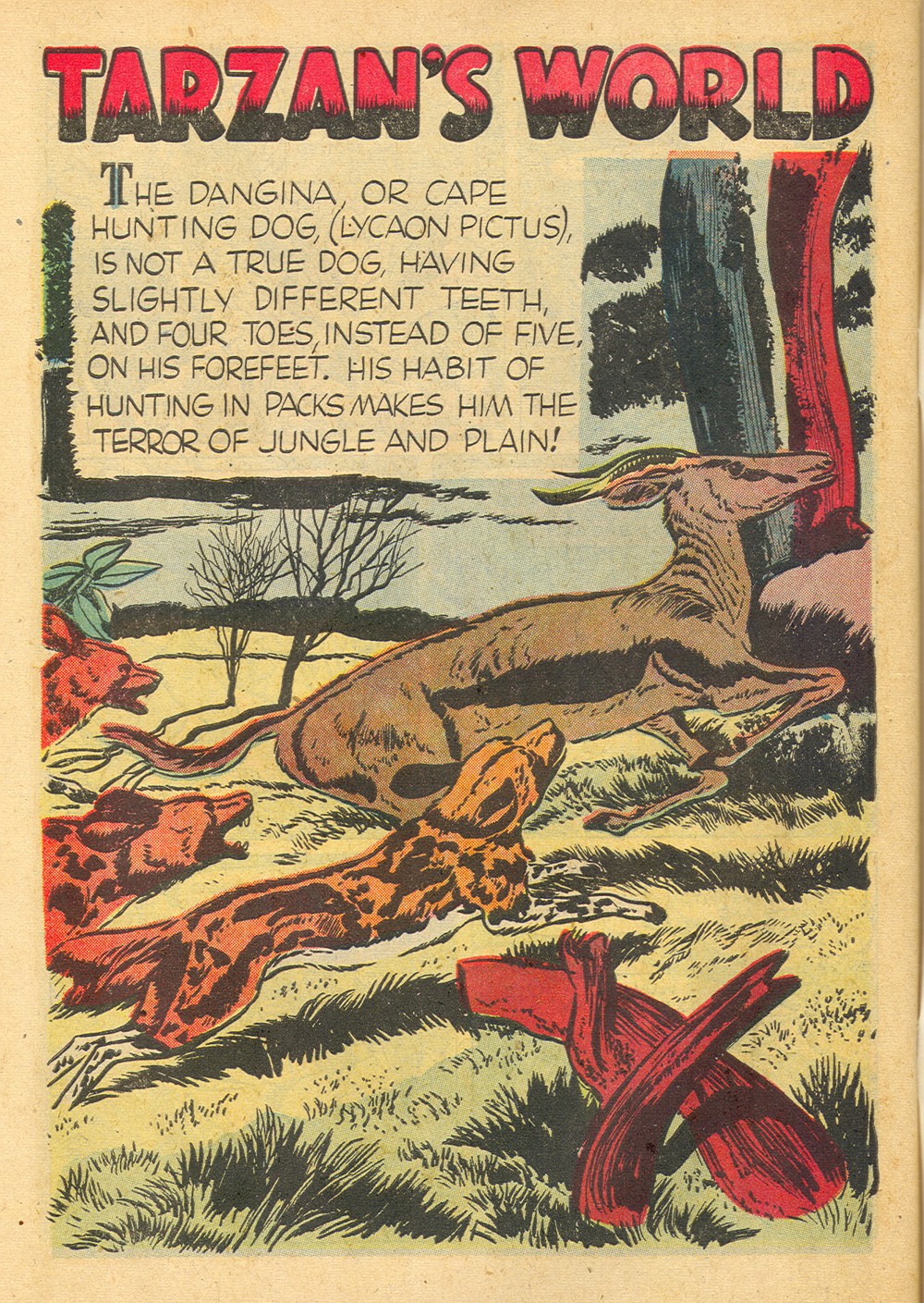 Read online Tarzan (1948) comic -  Issue #45 - 50