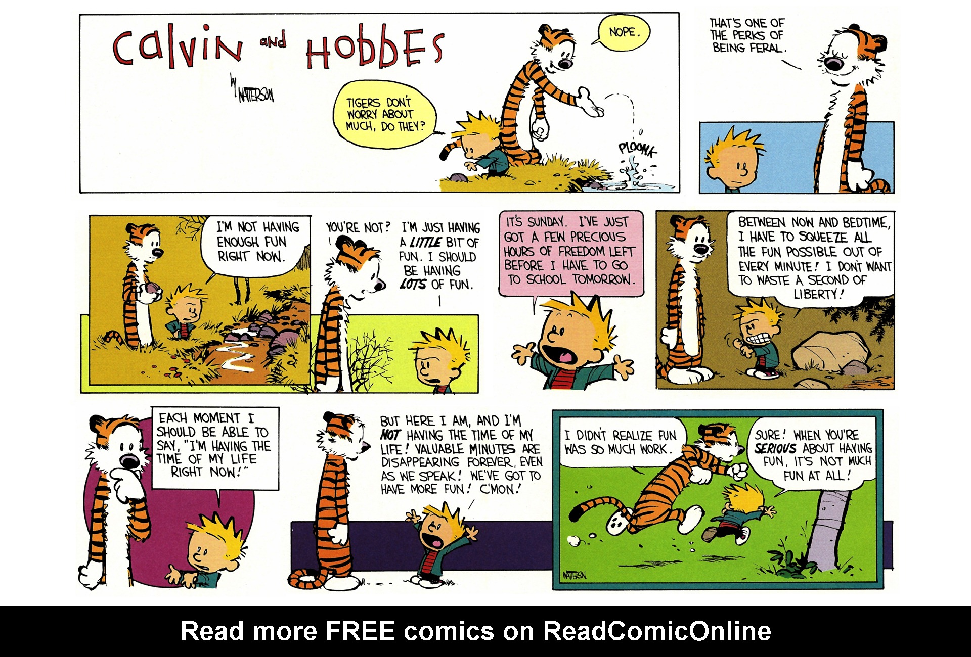 Read online Calvin and Hobbes comic -  Issue #5 - 77