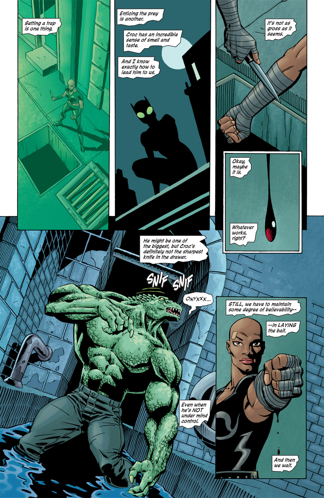 Read online Catwoman (2002) comic -  Issue #43 - 14