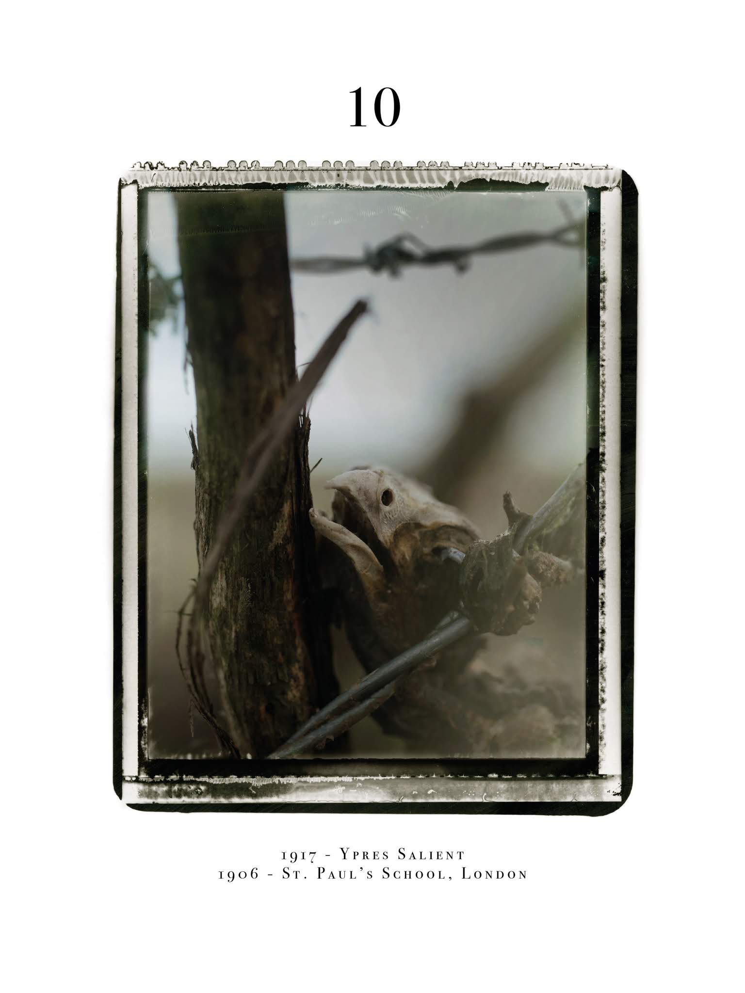 Read online Black Dog: The Dreams of Paul Nash comic -  Issue # TPB - 54