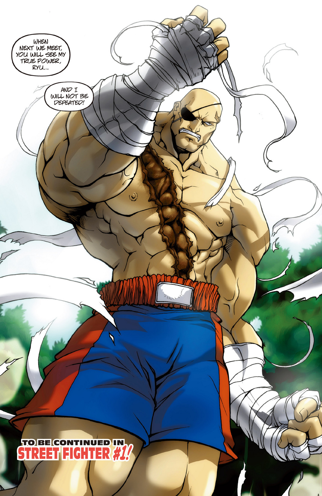 Read online Street Fighter Remix comic -  Issue # Full - 10