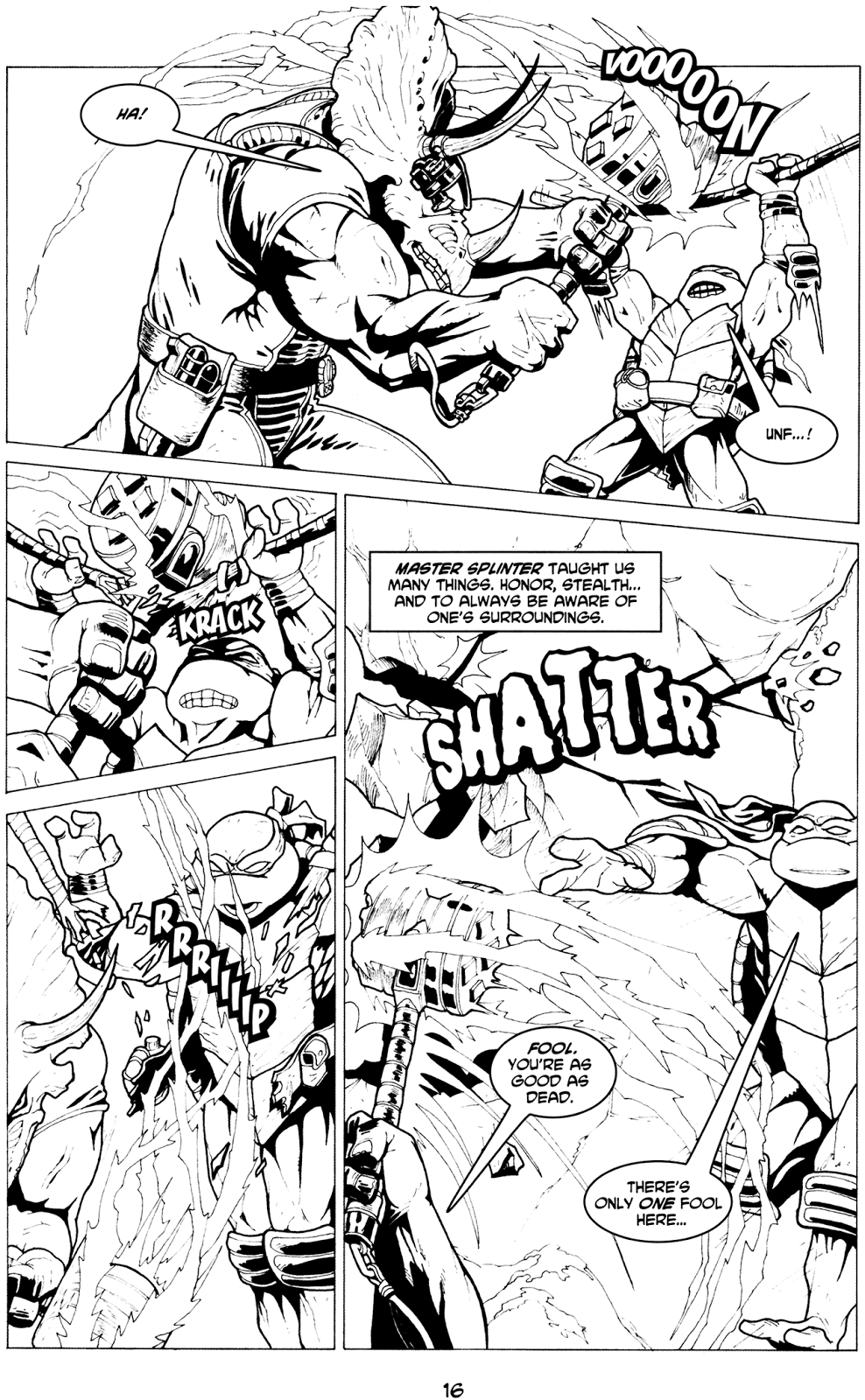 Tales of the TMNT issue 29 - Page 19