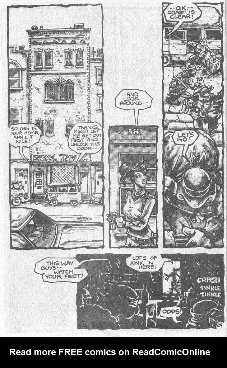 Read online Teenage Mutant Ninja Turtles (1984) comic -  Issue #3 - 27