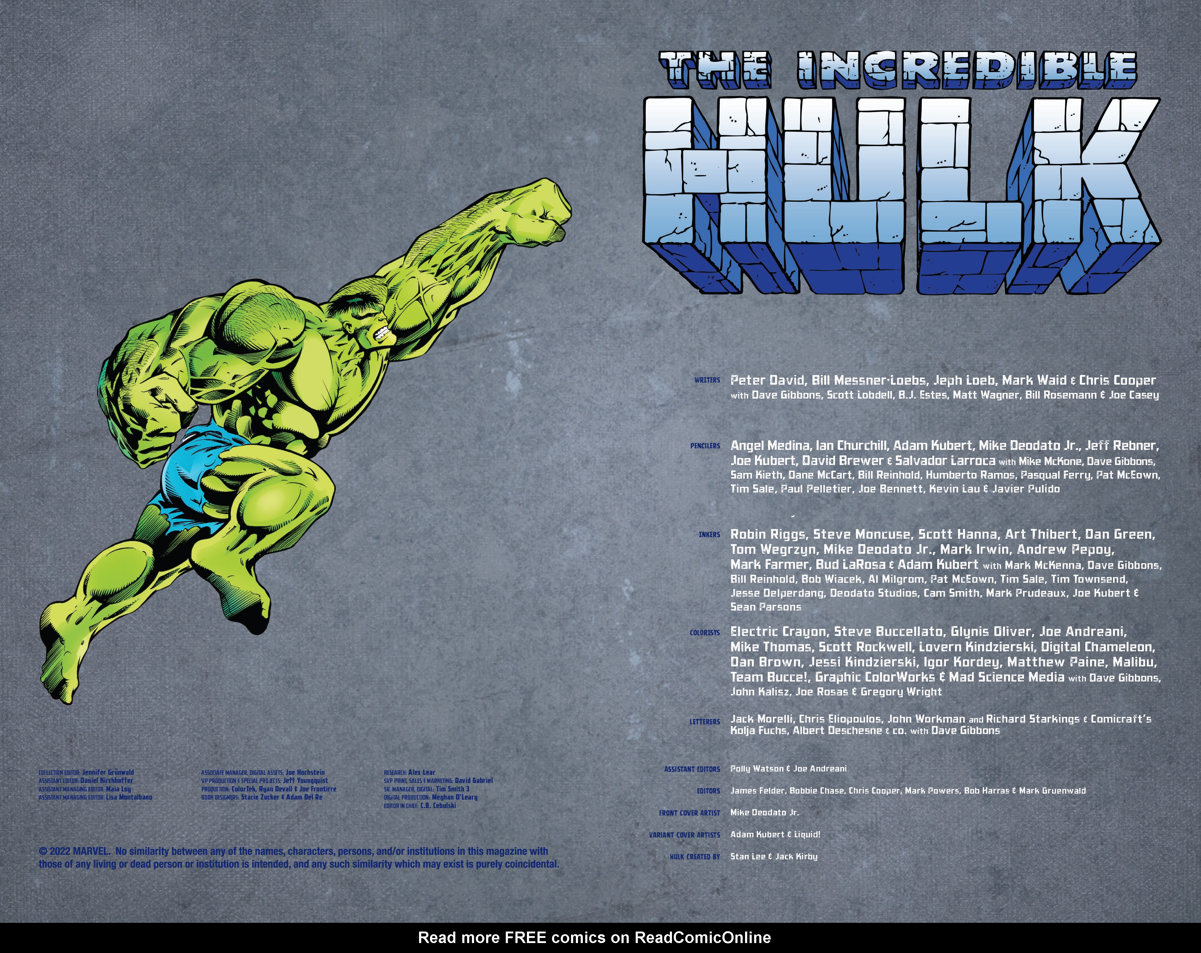 Read online Incredible Hulk By Peter David Omnibus comic -  Issue # TPB 4 (Part 1) - 3