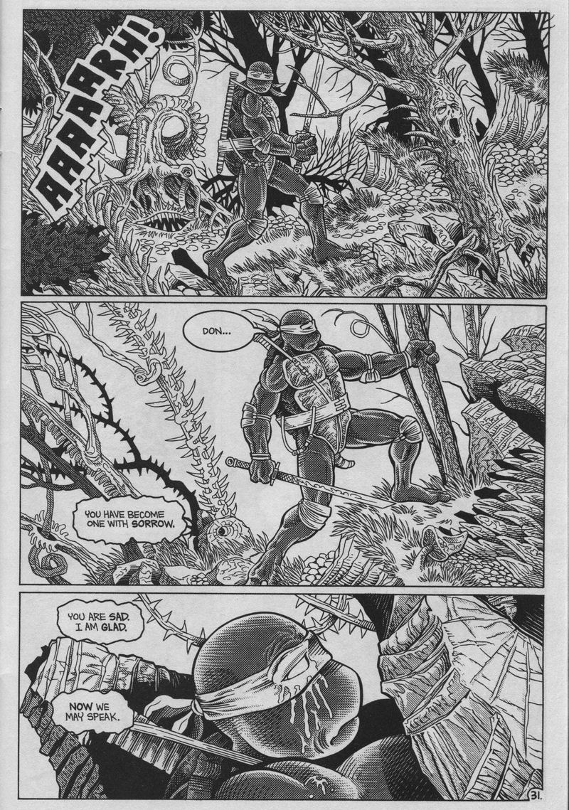 Teenage Mutant Ninja Turtles (1984) Issue #37 #37 - English 31