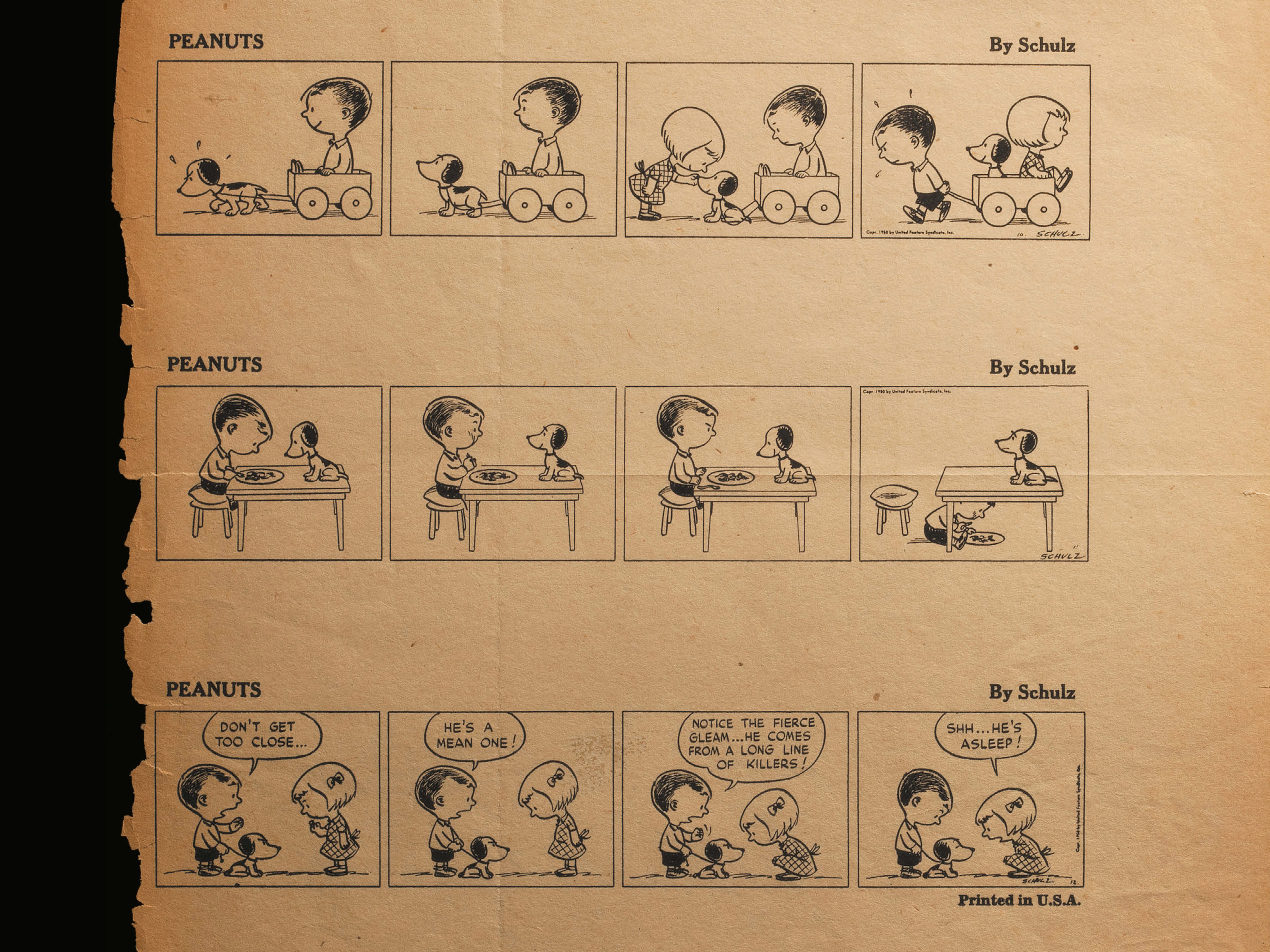 Read online Only What's Necessary: Charles M. Schulz and the Art of Peanuts comic -  Issue # TPB (Part 1) - 66