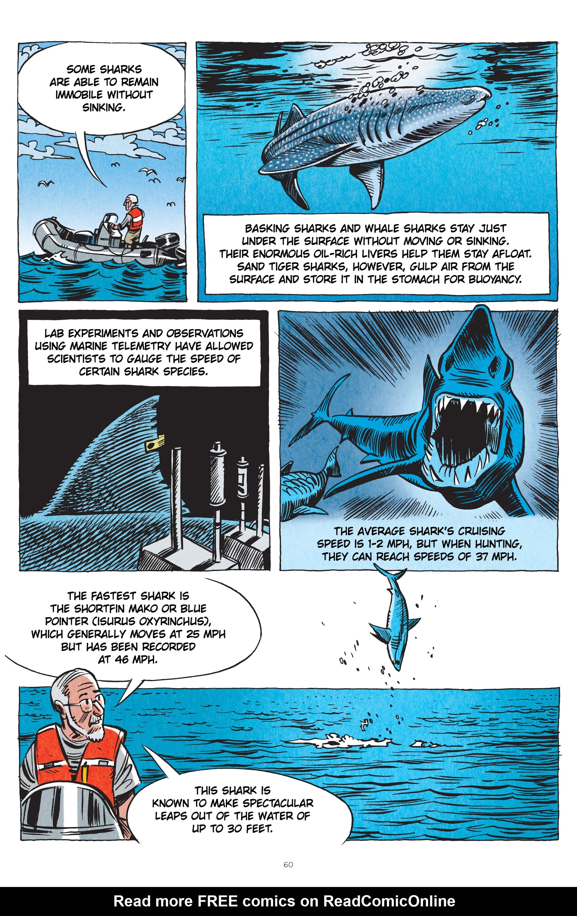 Read online Little Book of Knowledge: Sharks comic -  Issue # TPB - 60