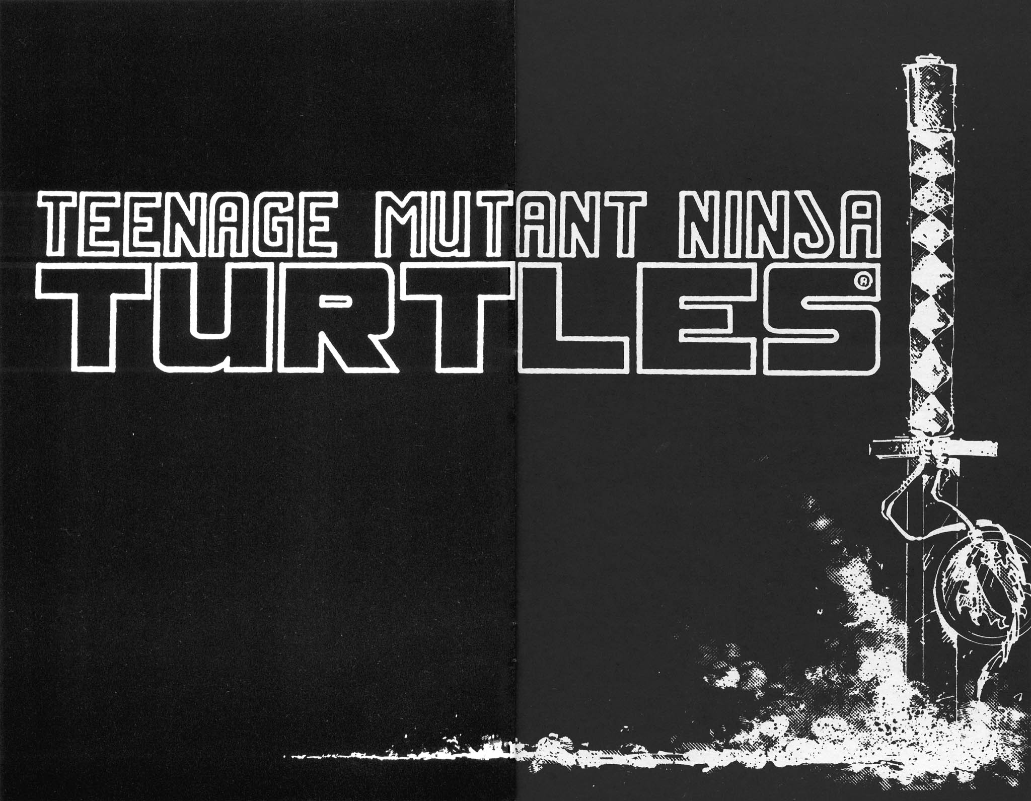 Read online Teenage Mutant Ninja Turtles (1984) comic -  Issue #17 - 3