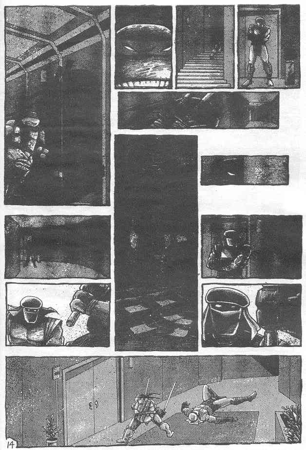 Read online Teenage Mutant Ninja Turtles (1984) comic -  Issue #21 - 16