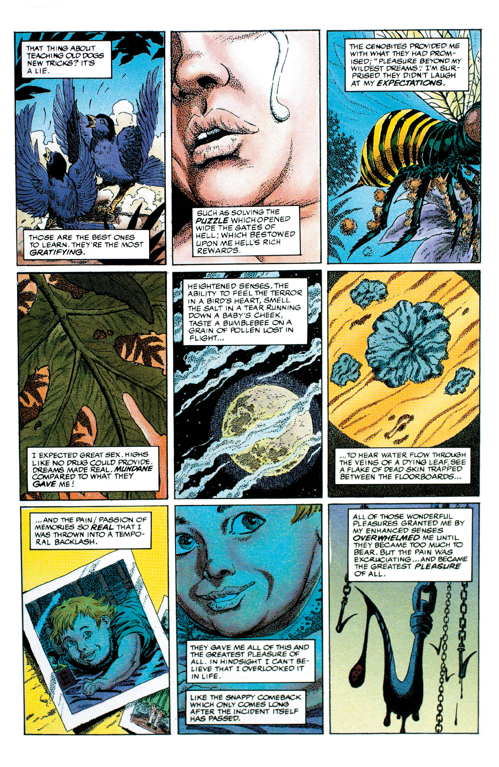 Read online Clive Barker's Hellraiser Masterpieces comic -  Issue #3 - 25