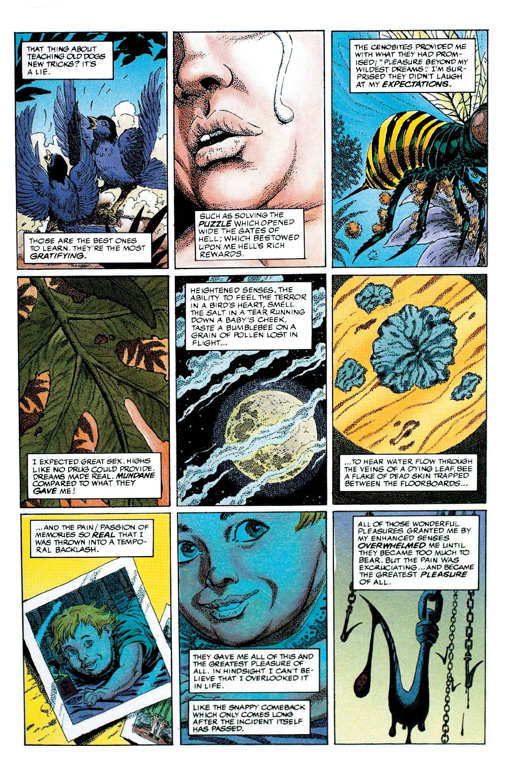 Clive Barker's Hellraiser Masterpieces issue 3 - Page 25