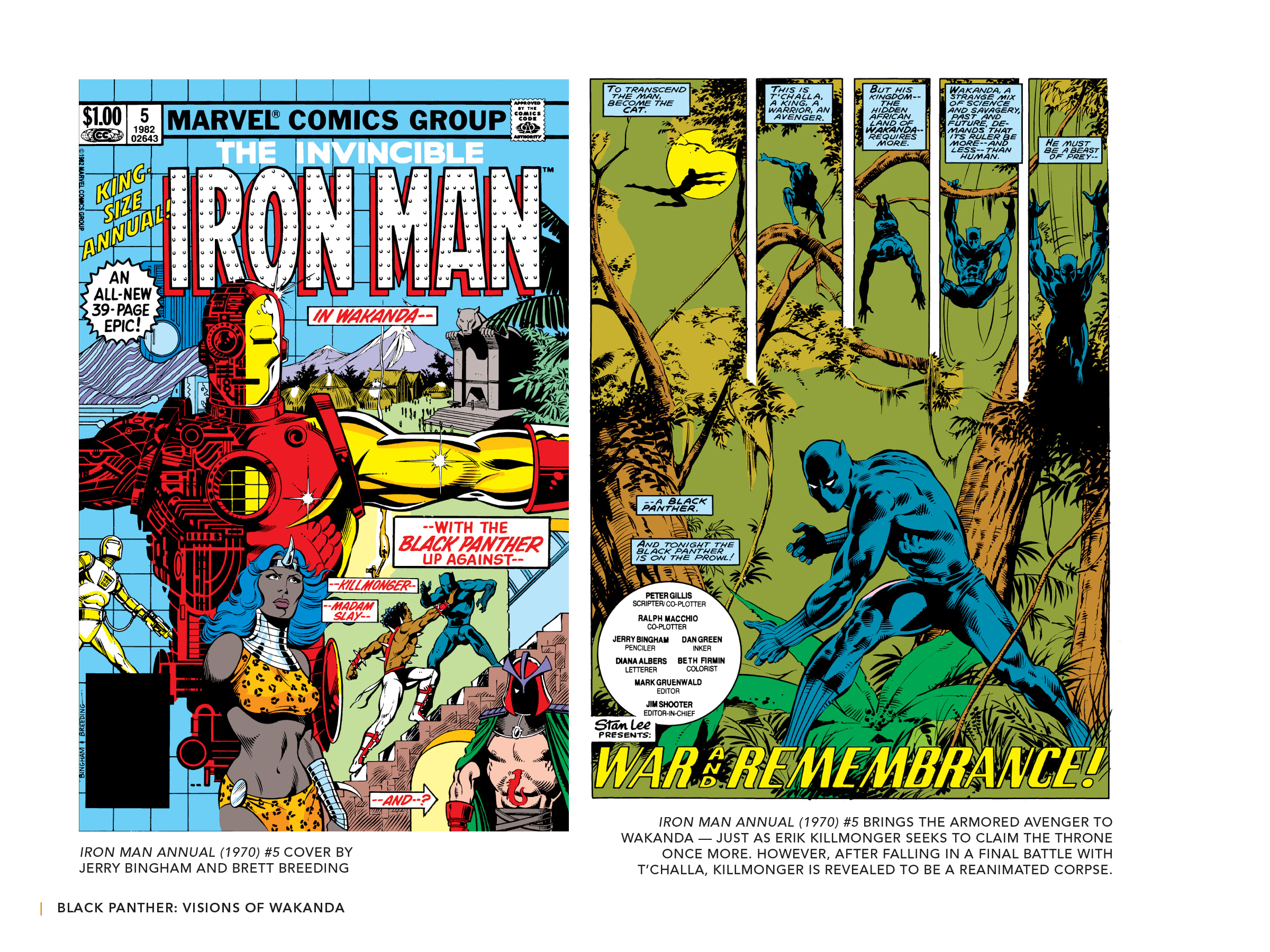Read online Black Panther: Visions of Wakanda comic -  Issue # TPB (Part 2) - 2