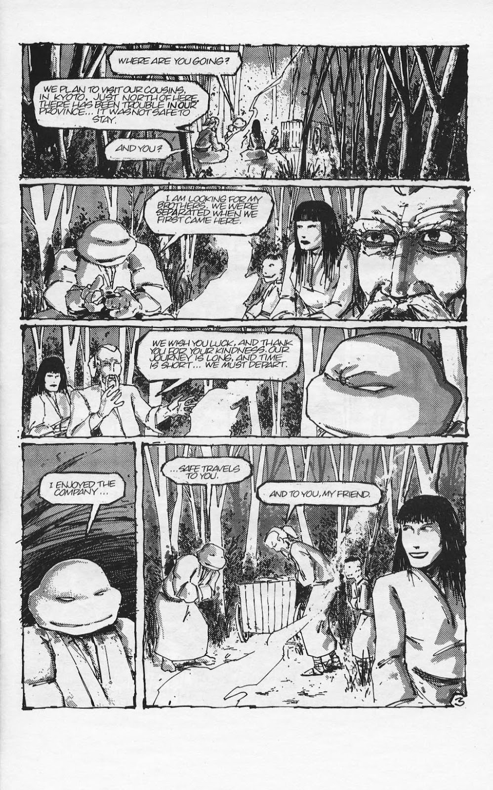 Teenage Mutant Ninja Turtles (1984) Issue #17 #17 - English 6