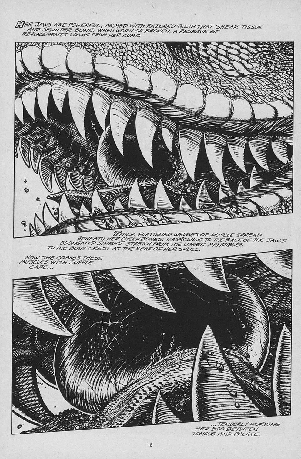 S.R. Bissette's Tyrant issue 4 - Page 20