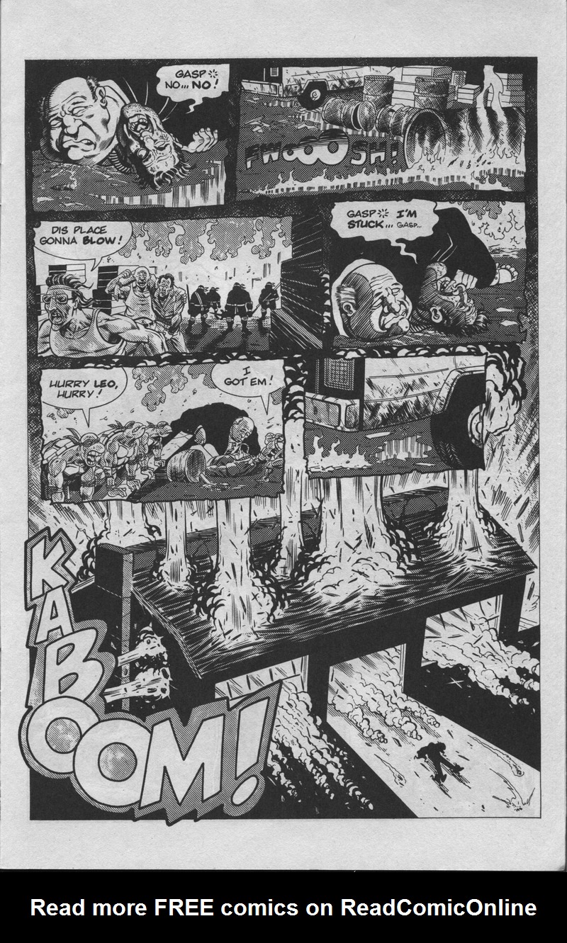 Teenage Mutant Ninja Turtles (1984) Issue #34 #34 - English 10