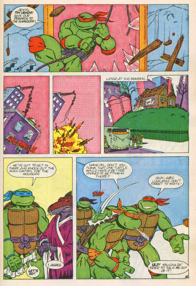 Teenage Mutant Ninja Turtles Adventures (1988) Issue #2 #2 - English 21