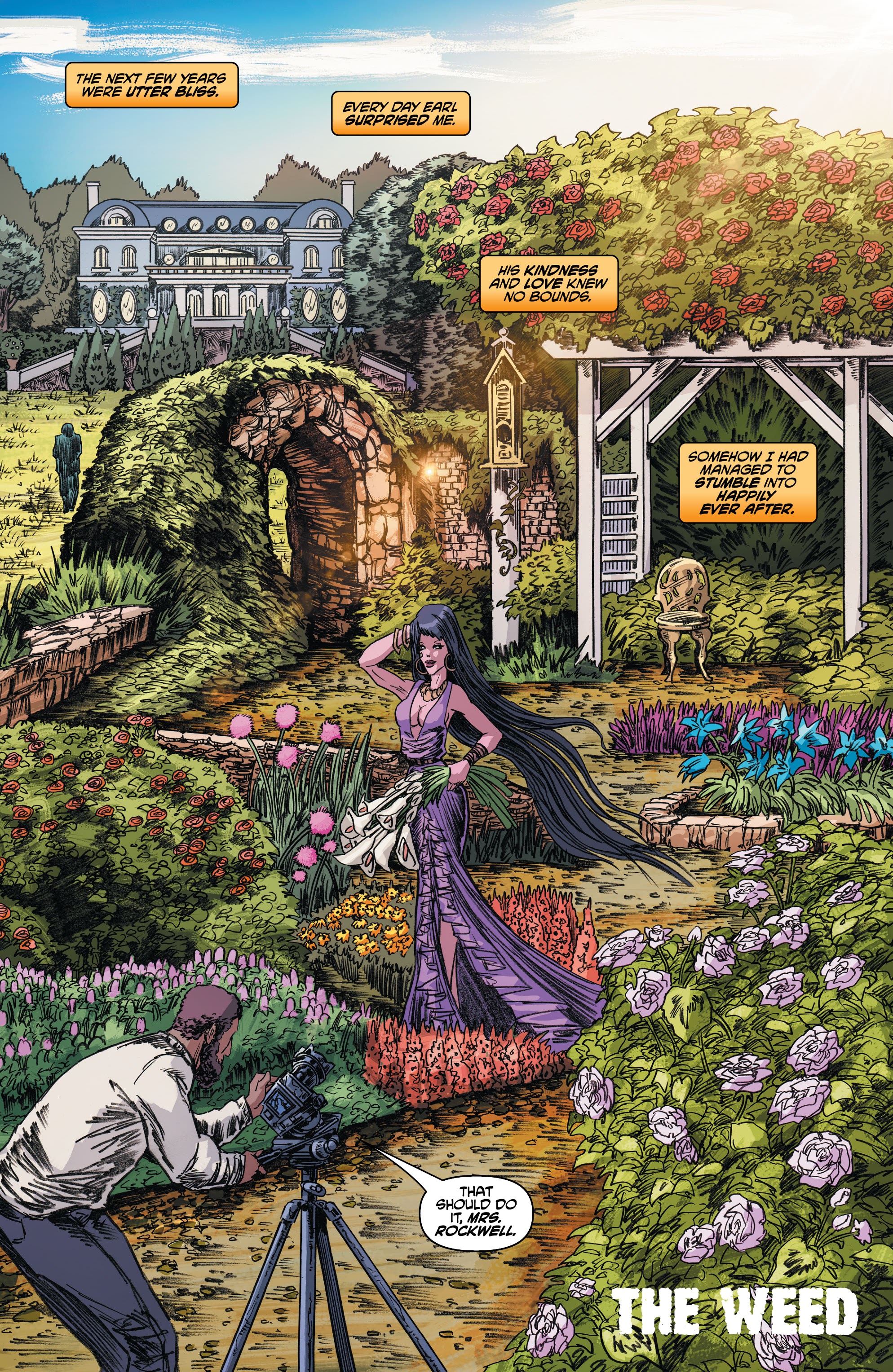 Read online Midnight Rose comic -  Issue # TPB - 49