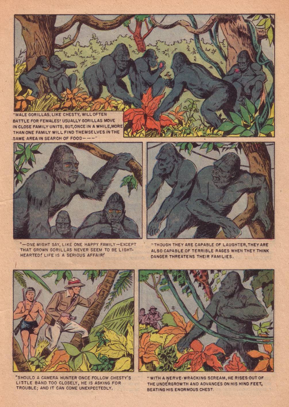 Read online Four Color Comics comic -  Issue #662 - 11