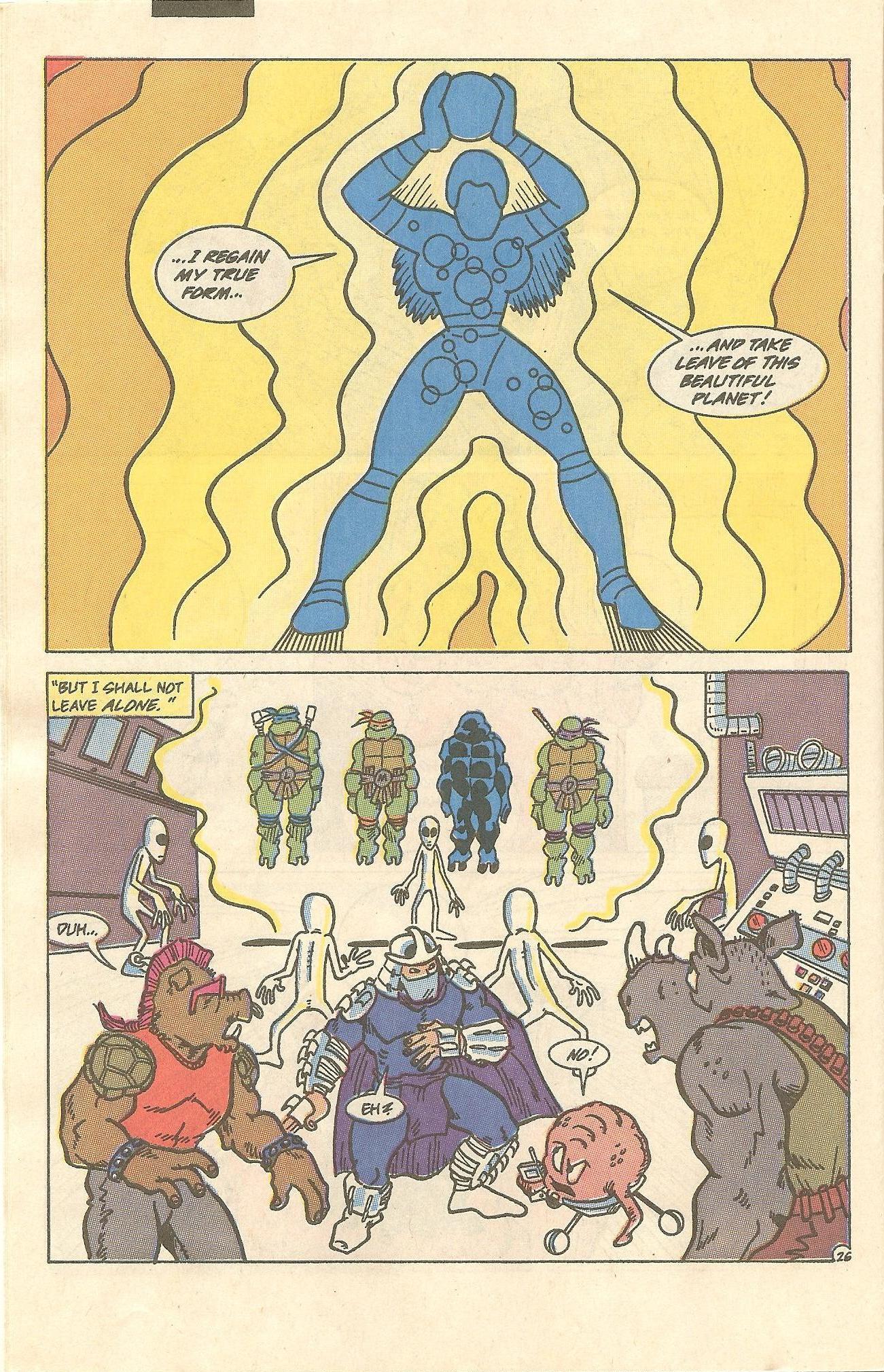 Read online Teenage Mutant Ninja Turtles Adventures (1989) comic -  Issue #11 - 27