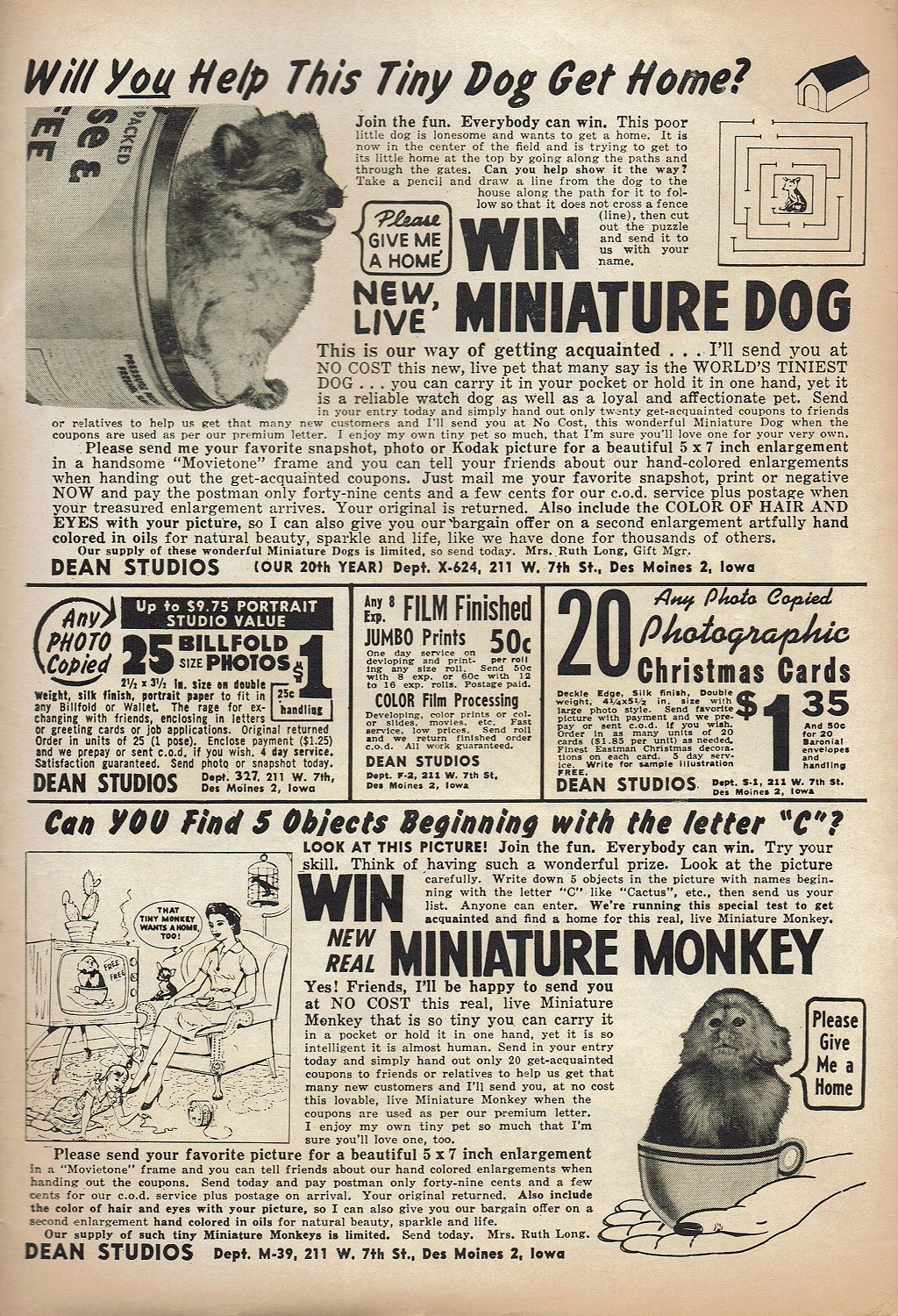 Read online Archie Comics comic -  Issue #102 - 35