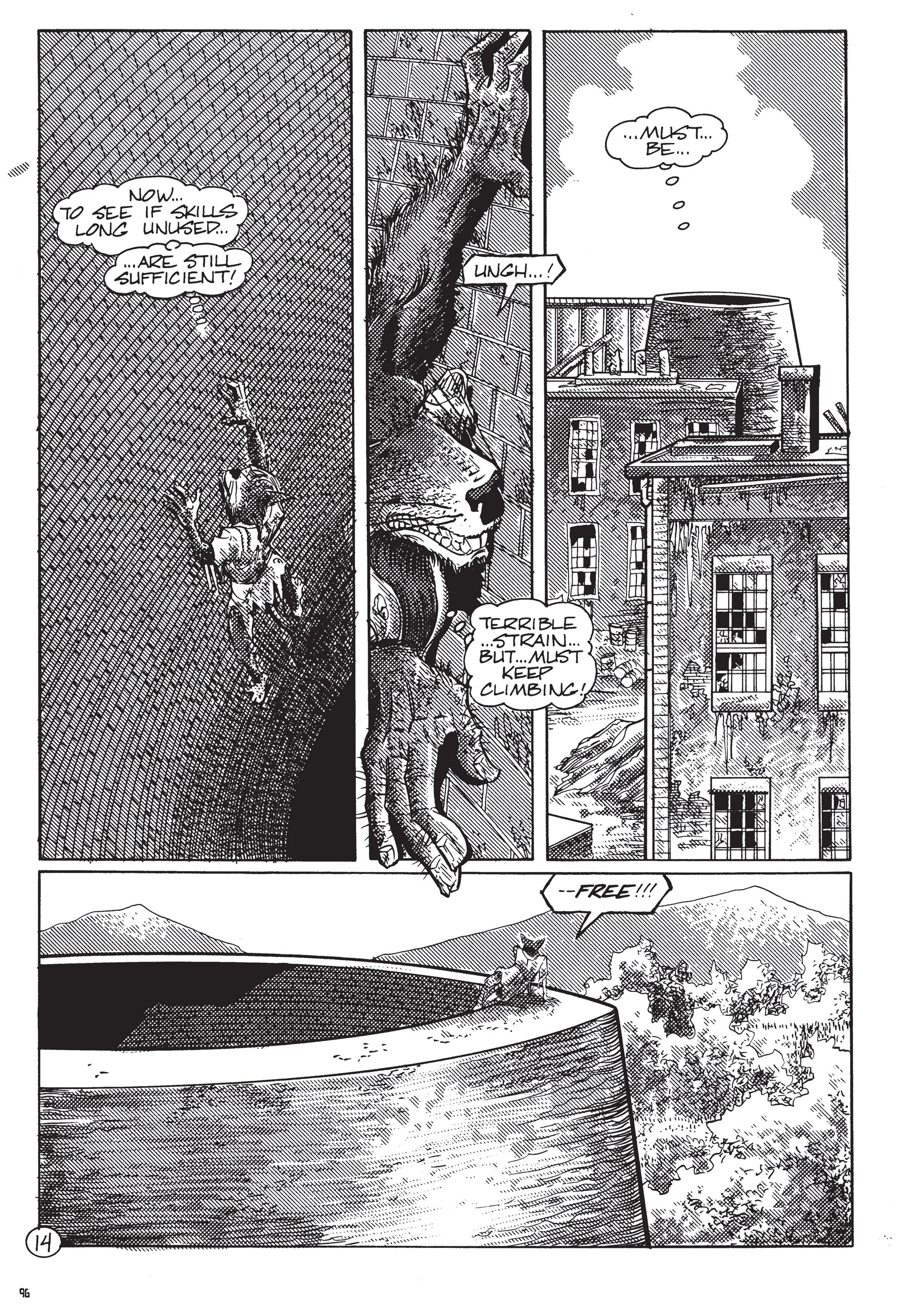 Read online Teenage Mutant Ninja Turtles: The Ultimate Collection comic -  Issue # TPB 5 (Part 1) - 97